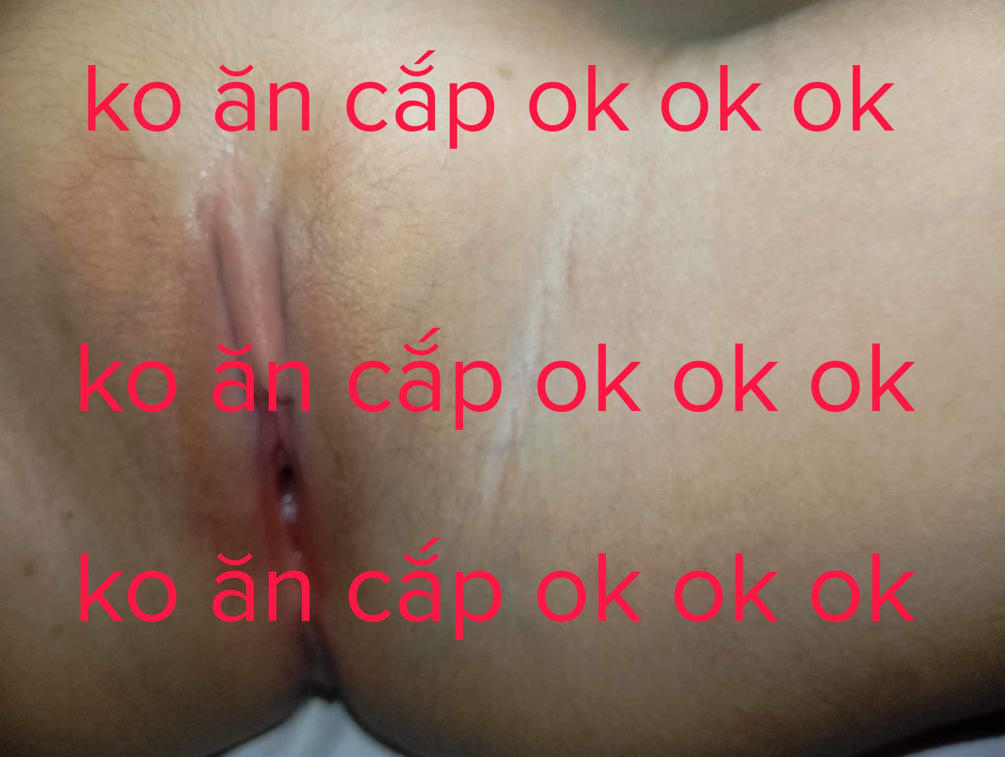 278675-7d410c9f8fc6.jpg