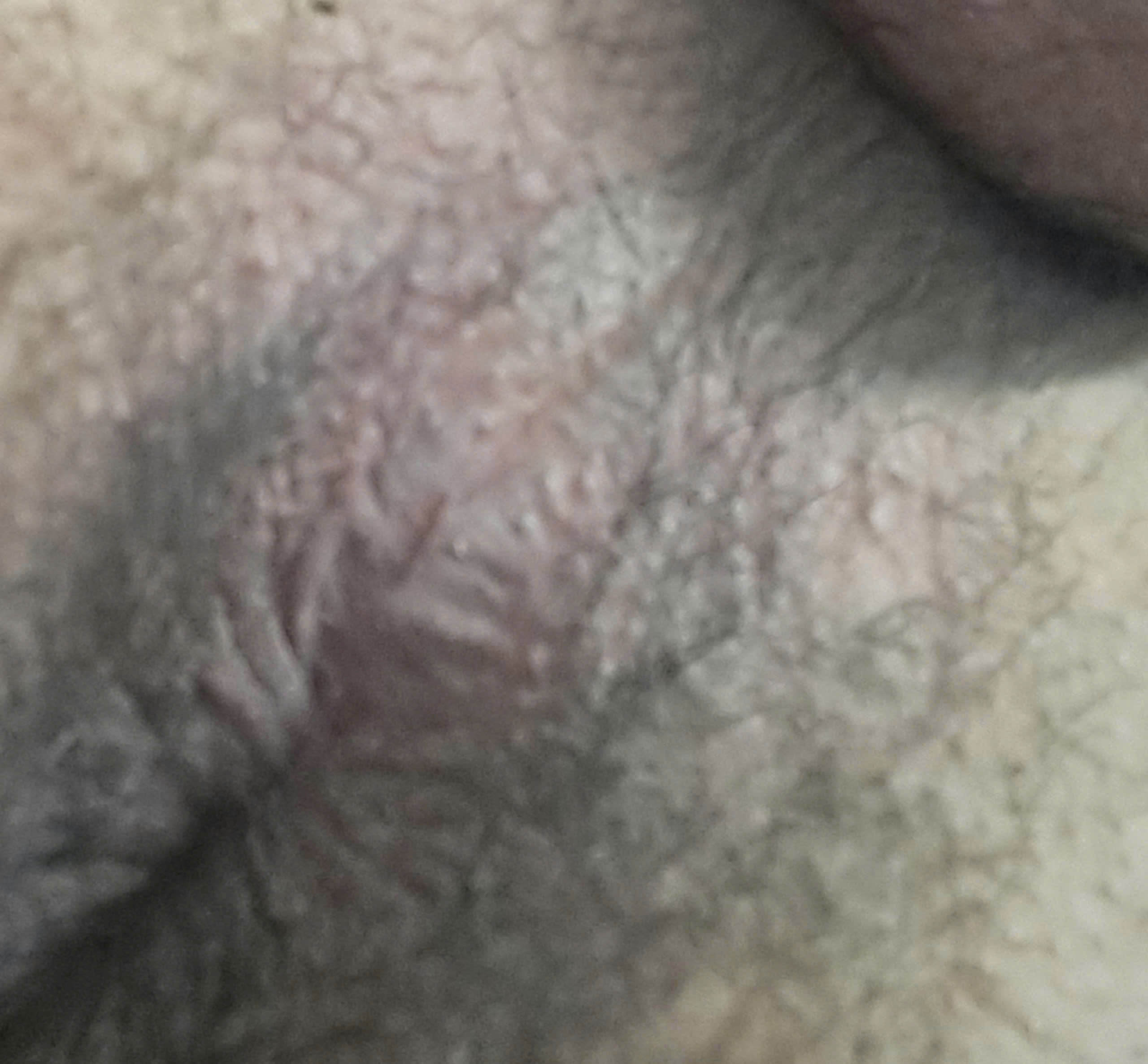 279065-ecf2203e9820.jpg