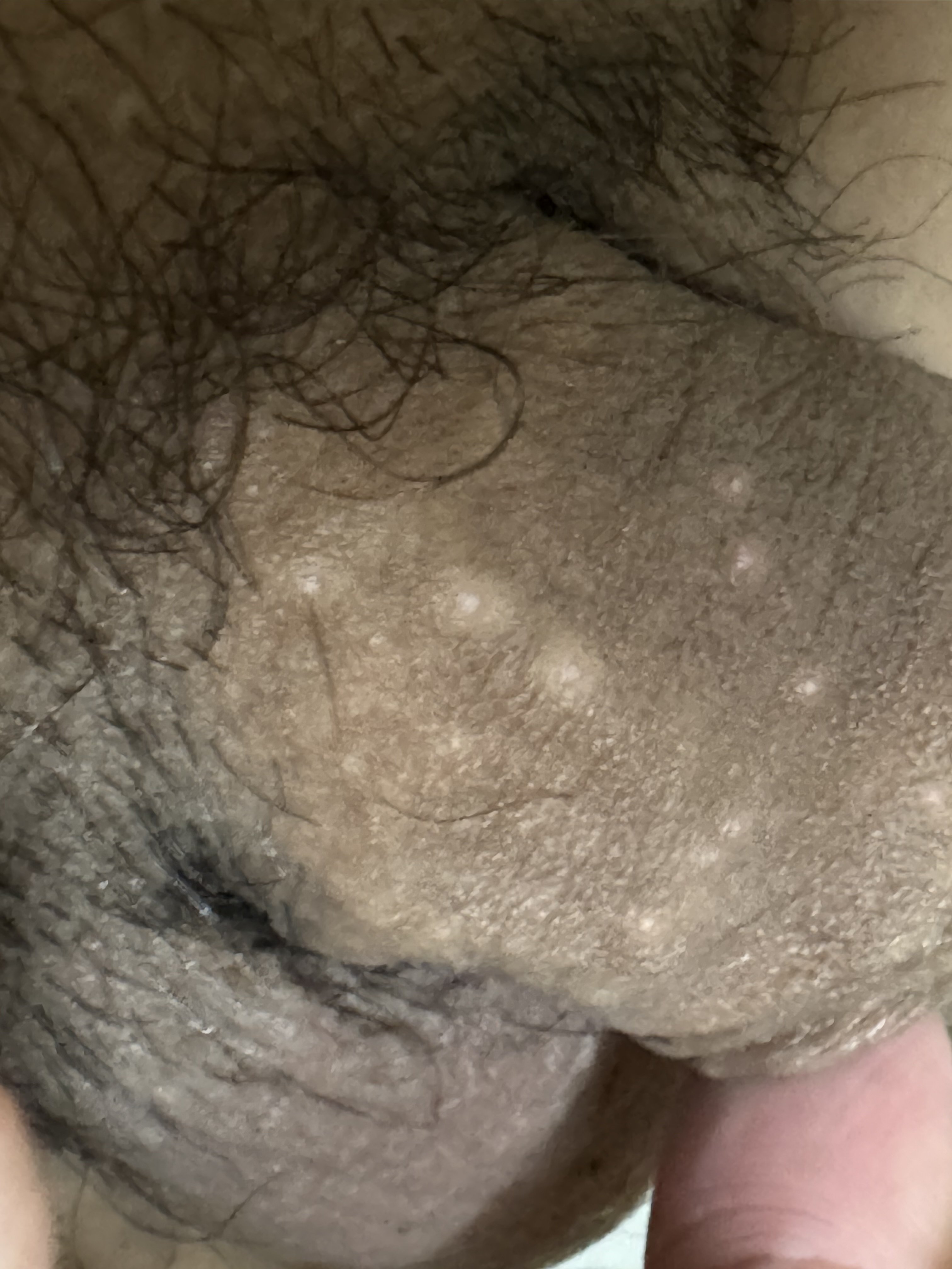 280090-a02044cdddaf.jpeg