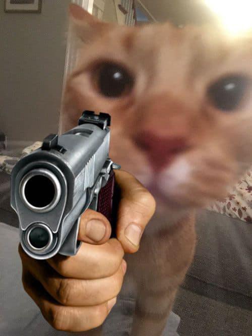 286001-f4aa1fb5b8ea.jpeg