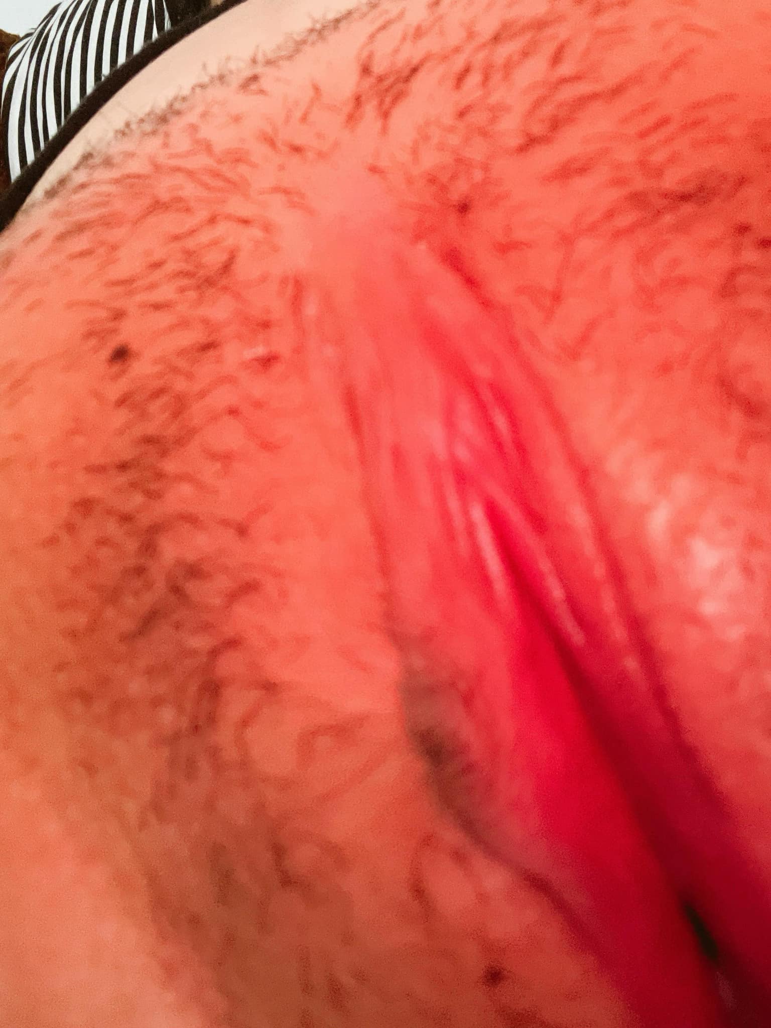 286537-45f020ae4102.jpeg