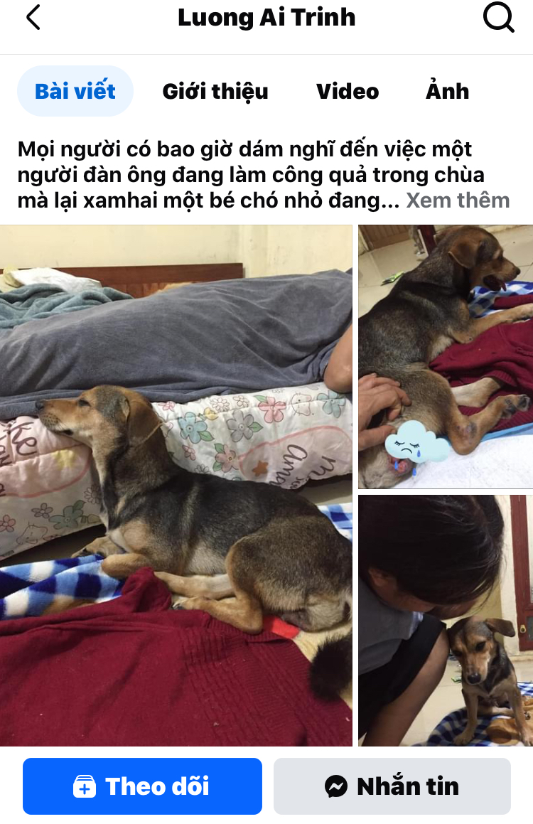 286990-c4a76c566ae3.jpeg