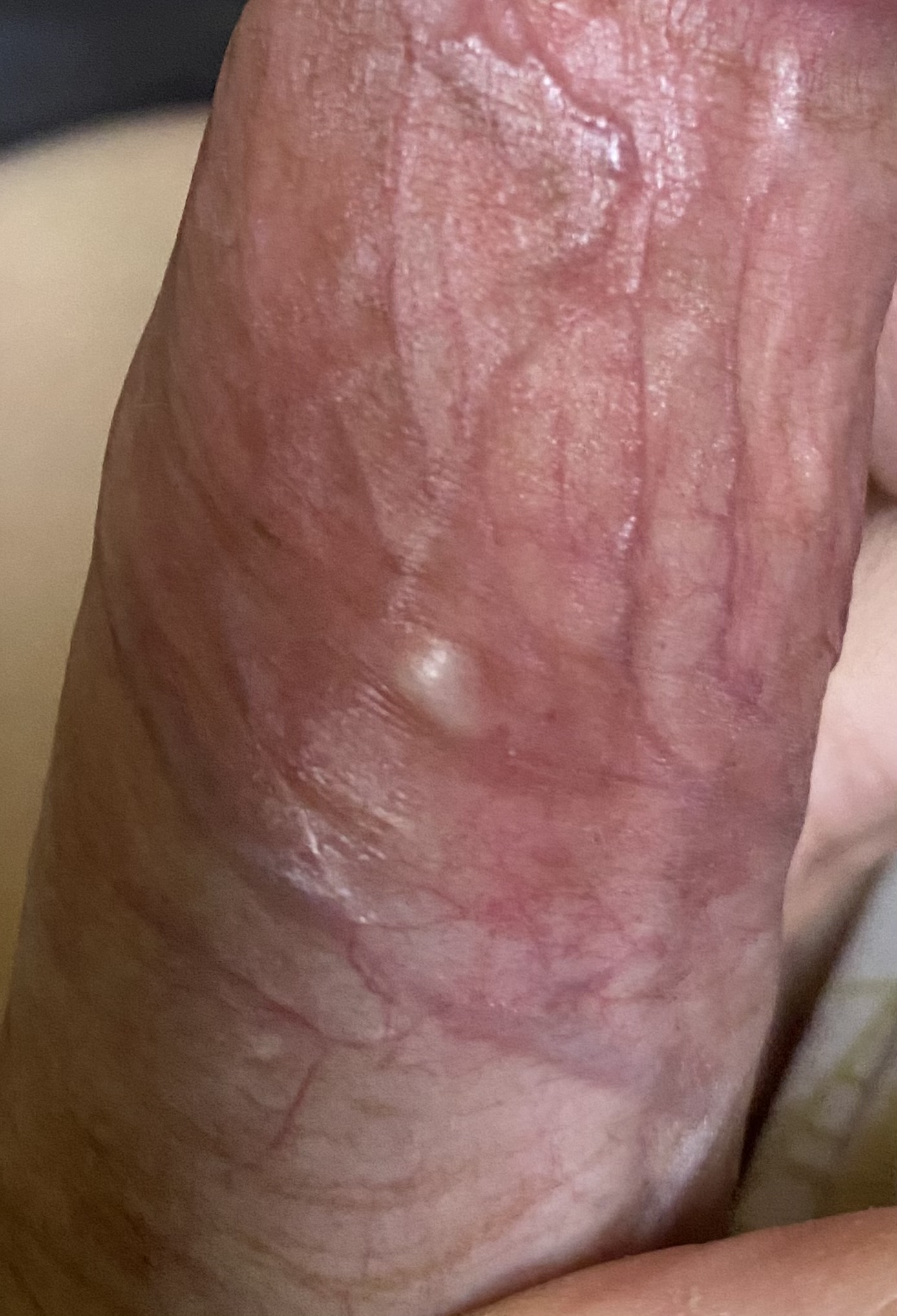287025-ef87e852c126.jpeg