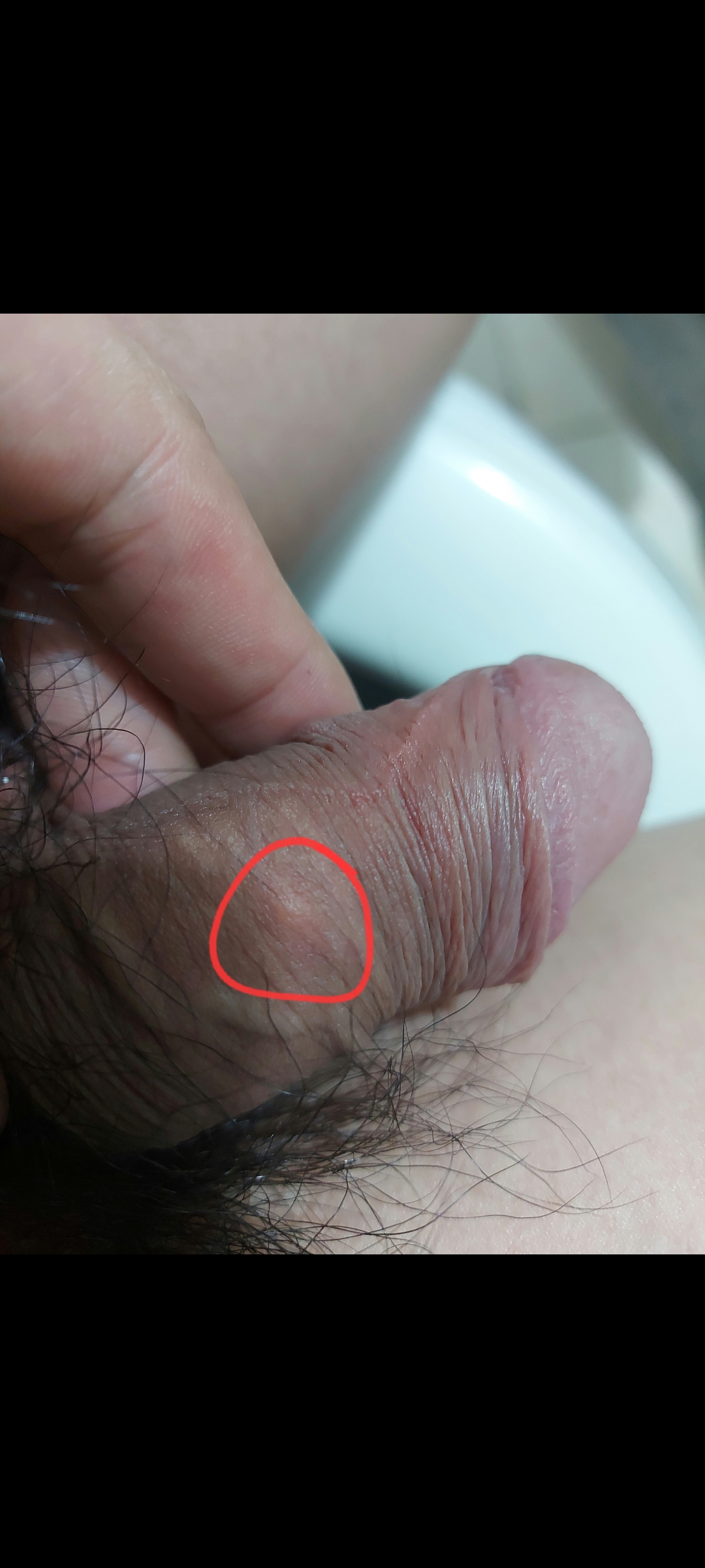 288415-335ebe442556.jpg