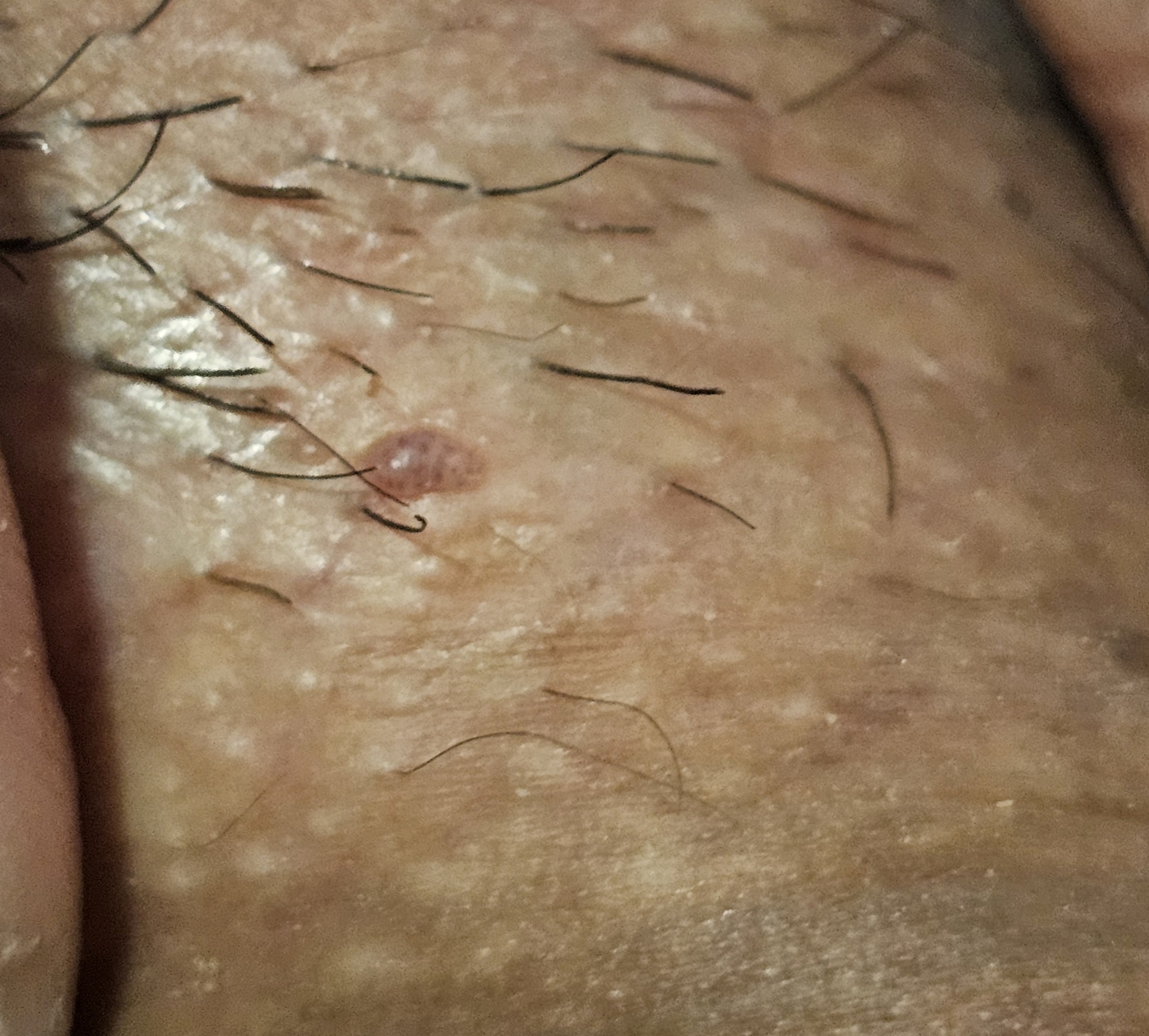 288713-aa8dc02d1747.jpg