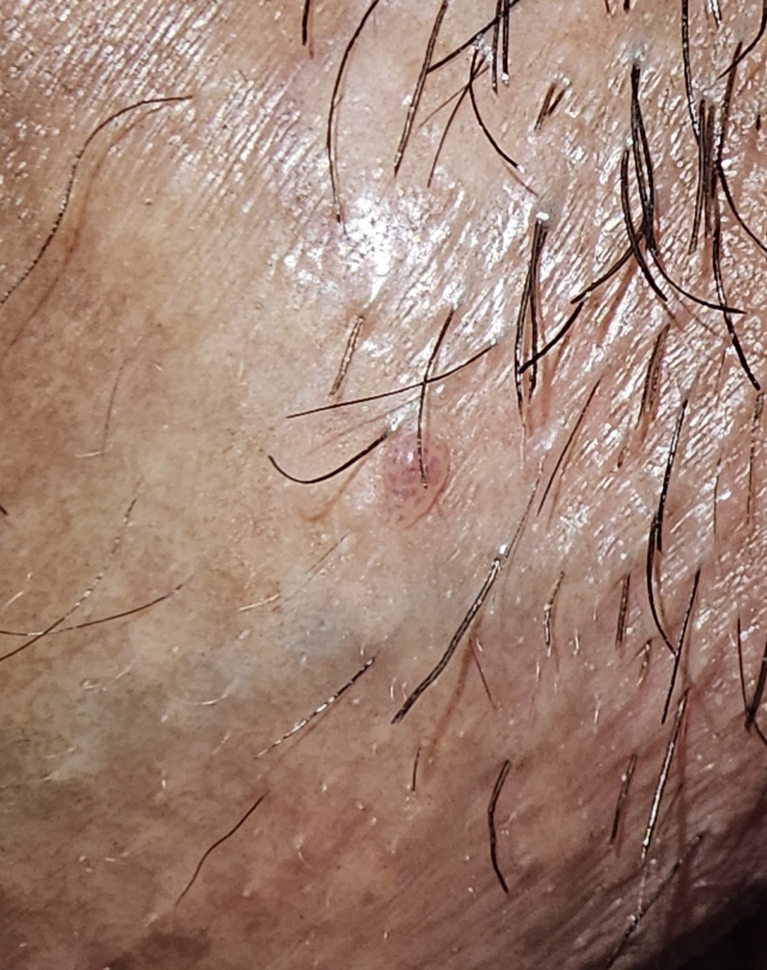 288714-3bbd3c67632b.jpg