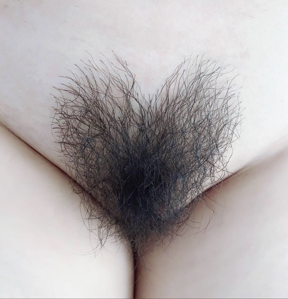 289330-83af8663a3ab.jpeg