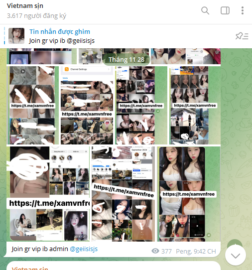 290307-c0b01e11f452.png