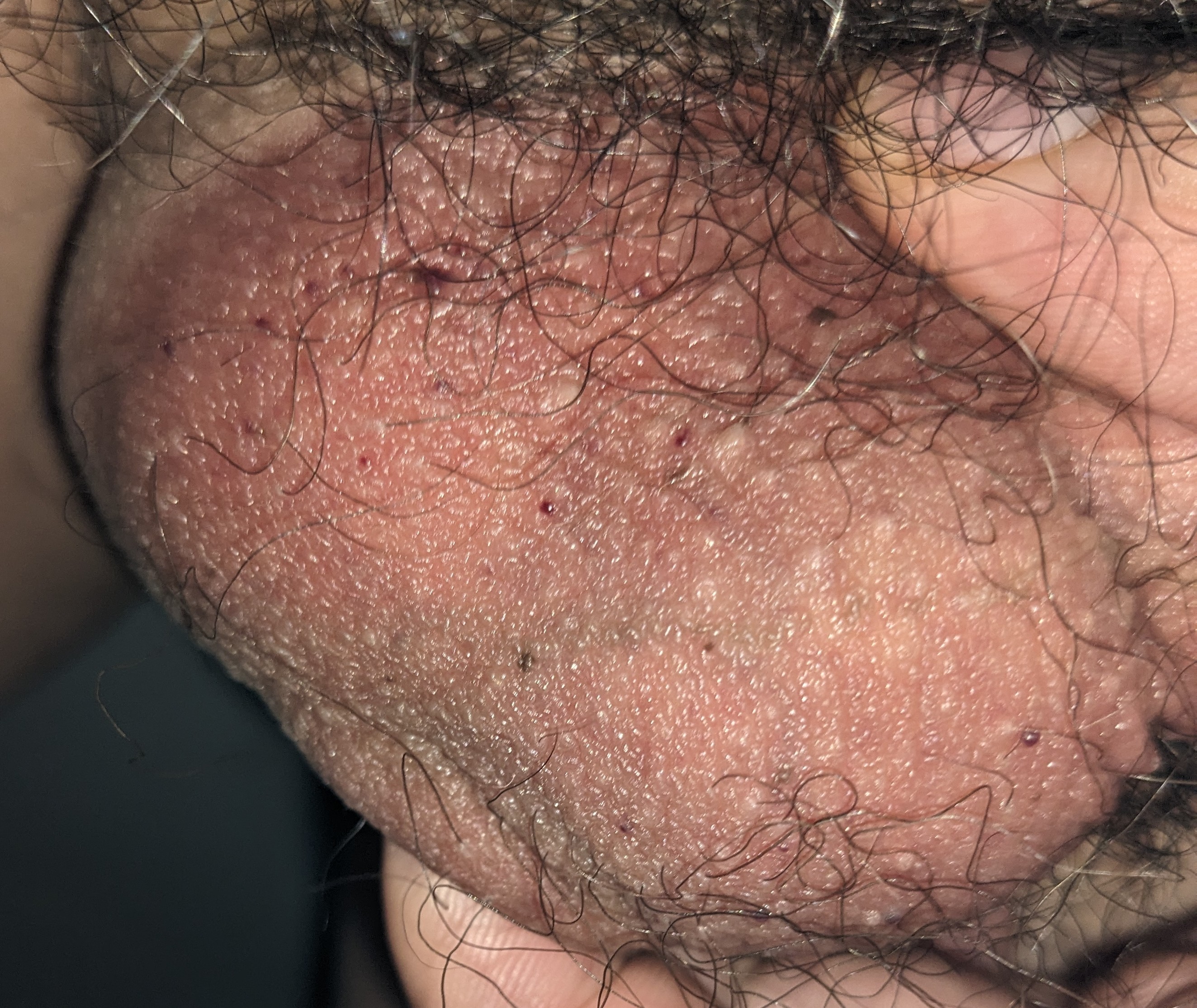 290989-96de2cf3670e.jpg