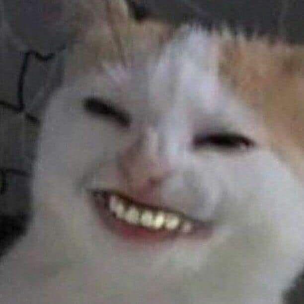 291581-693222f0c881.jpeg