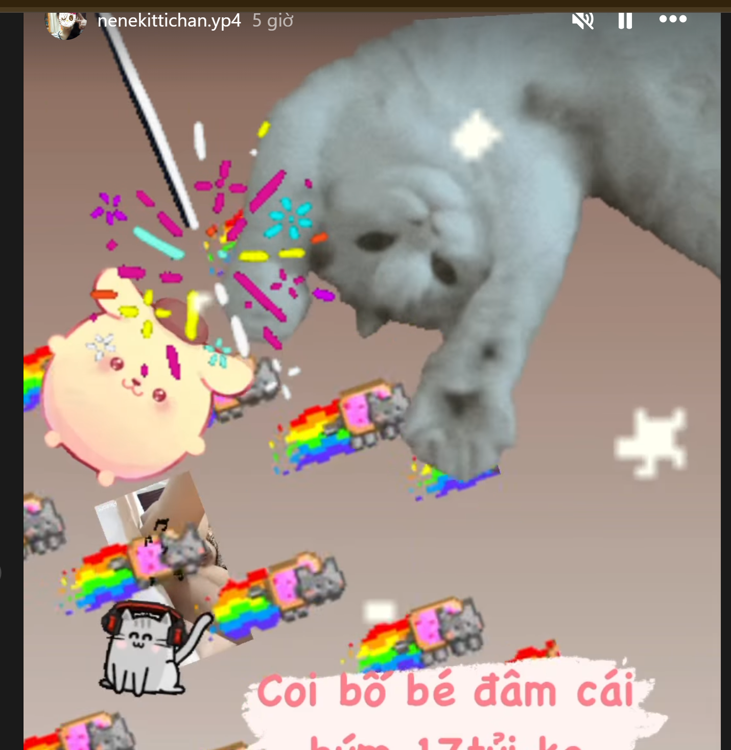 308311-d41864a9a593.png