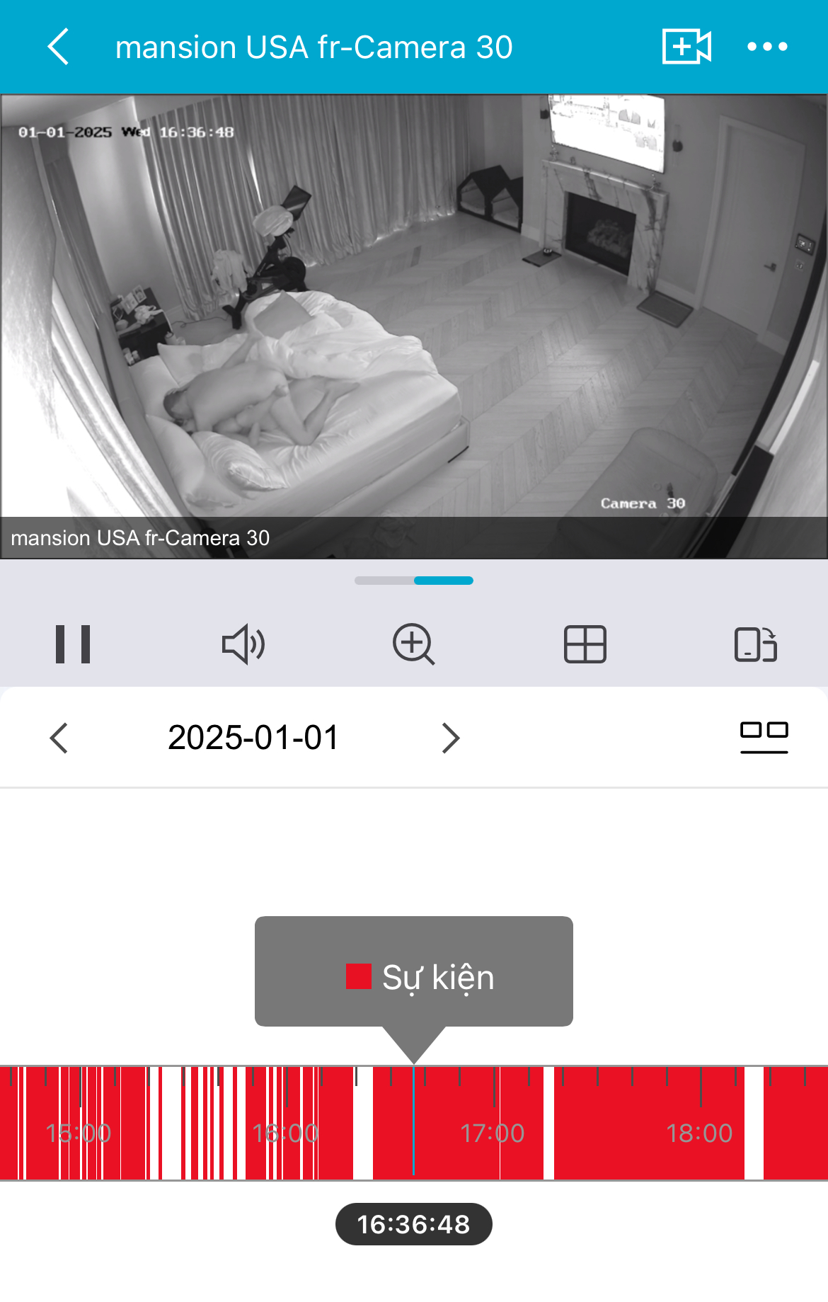 310373-b45fbfd98811.jpeg