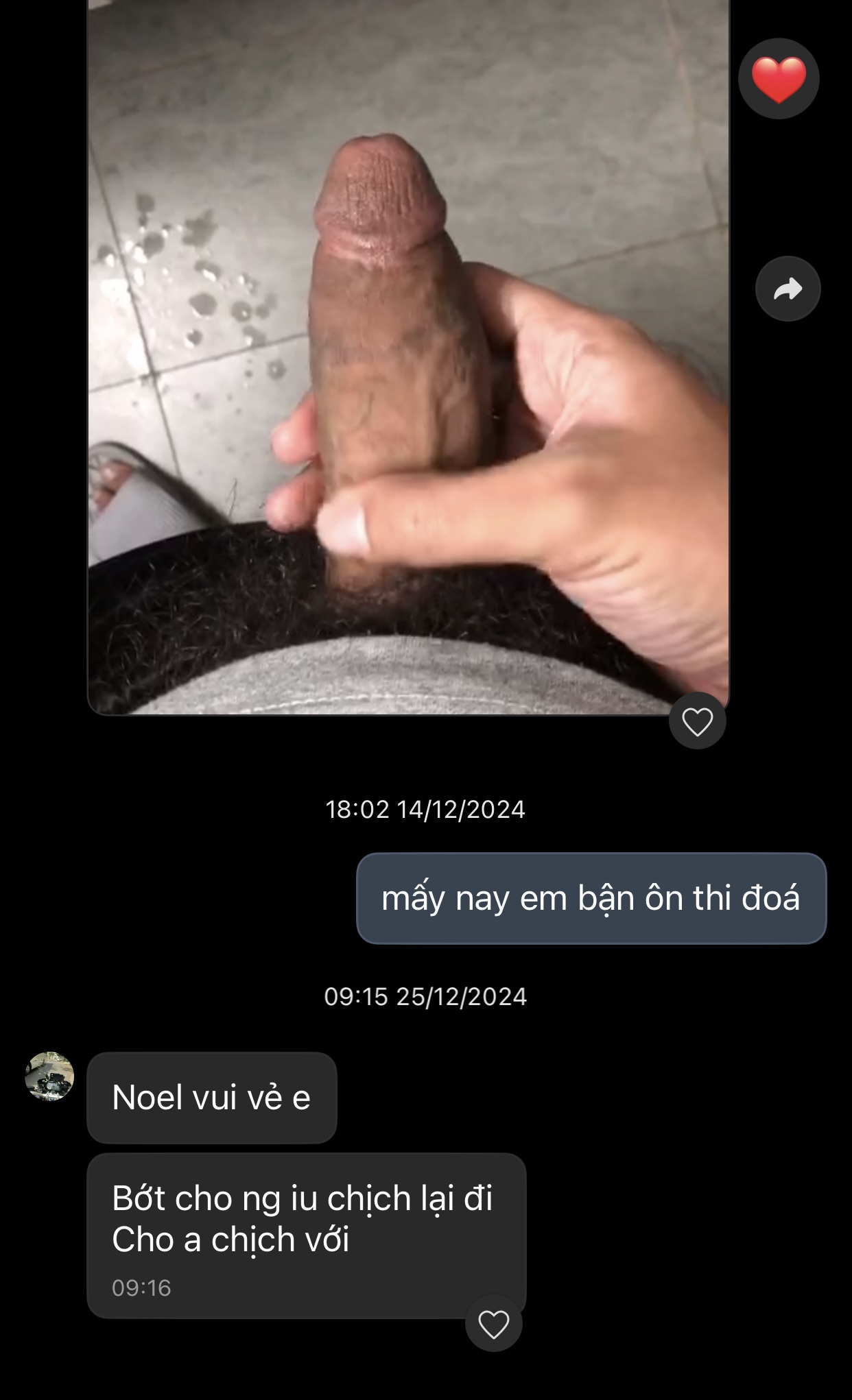 311556-955f9c6b0d7a.jpeg