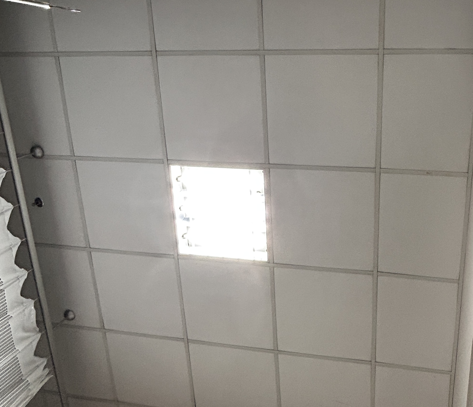 312036-867b7879a96d.jpeg
