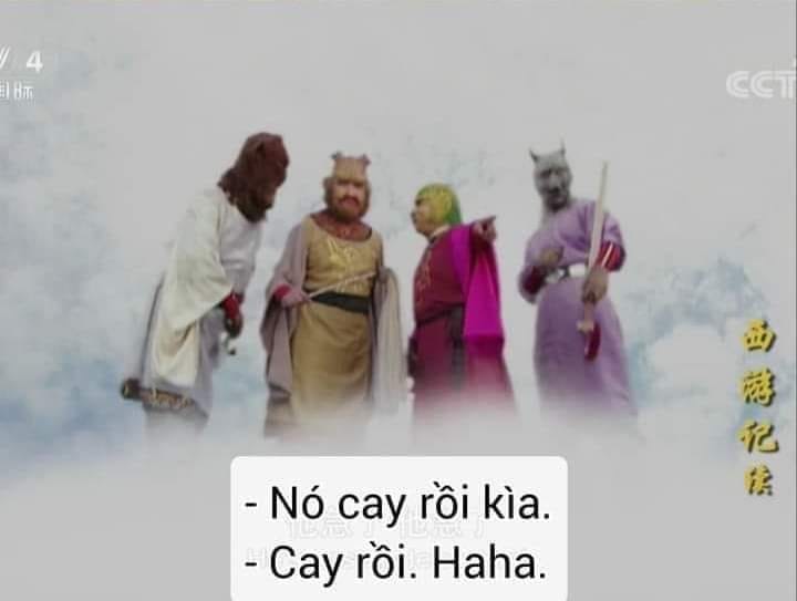 312829-678b53f0b67e.jpeg
