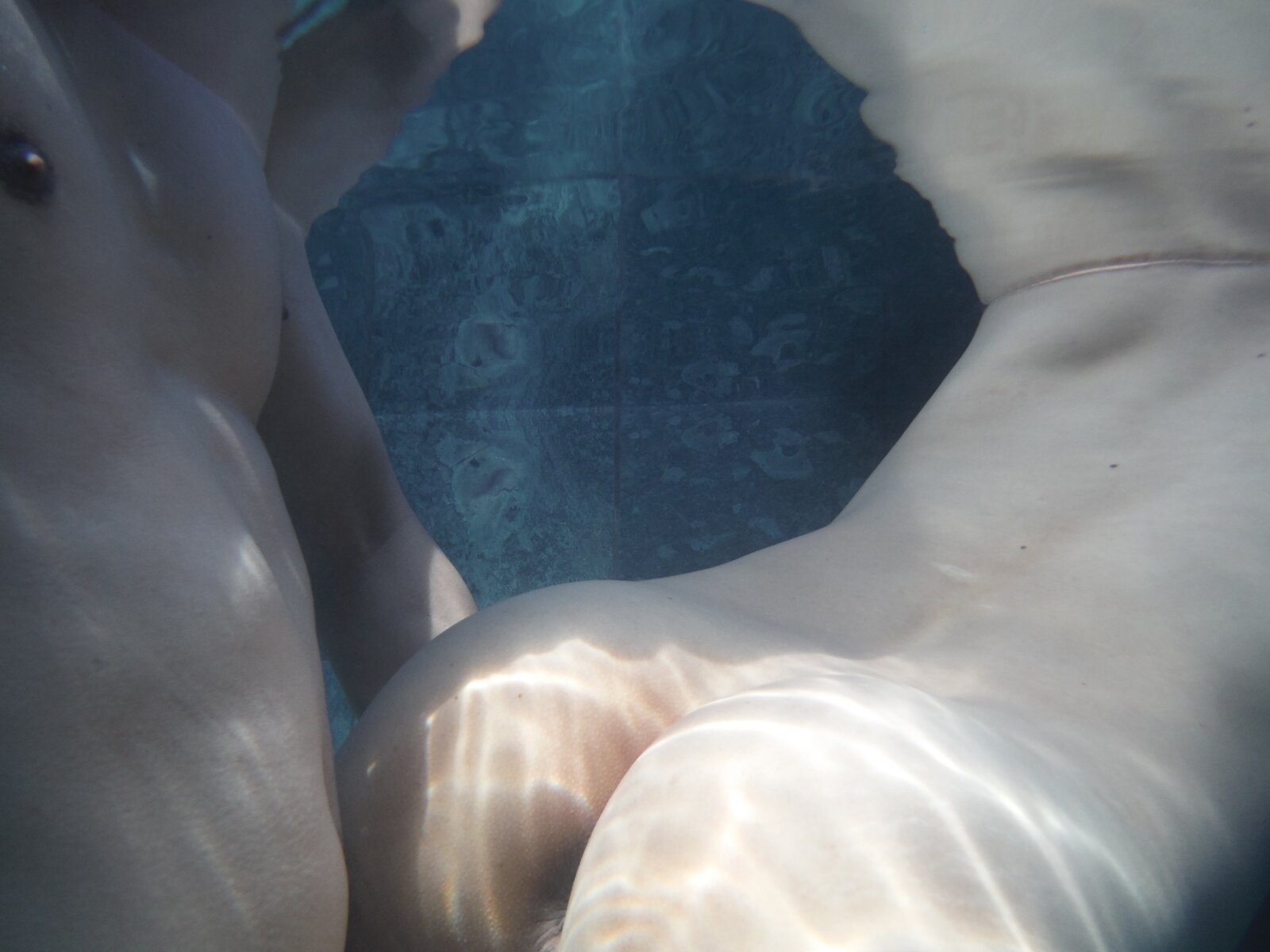313623-a19a174d728d.jpeg