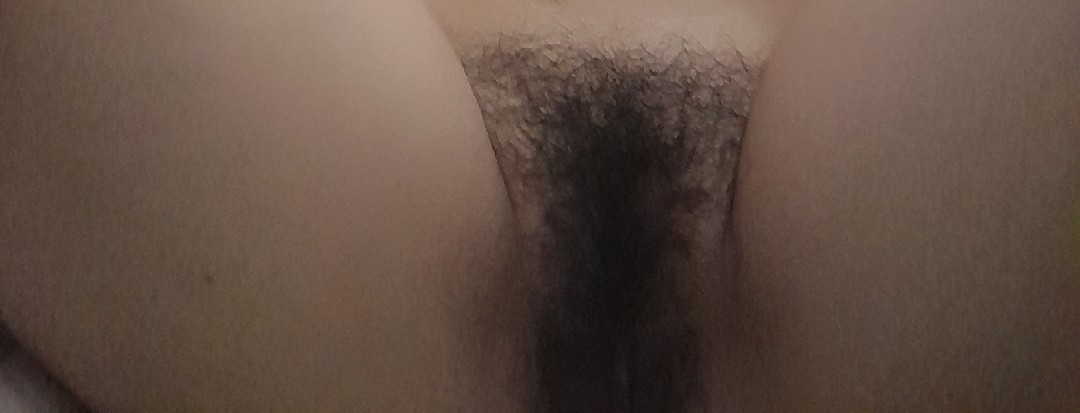 320298-3665861d9816.jpg