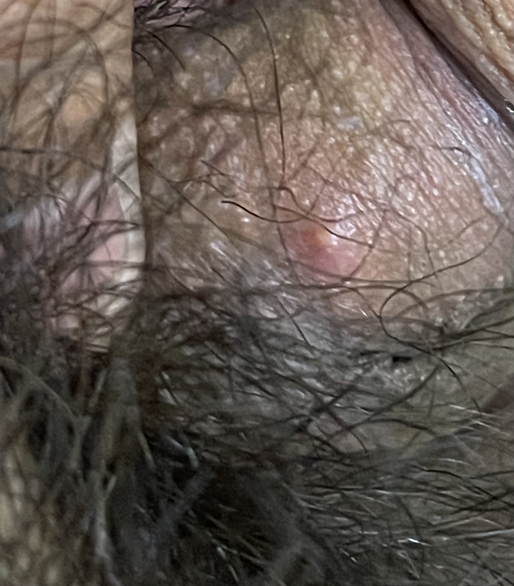 322289-ef5726cae4df.jpeg