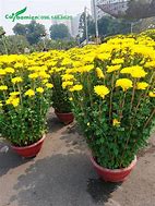 322567-c20b521b9d46.jpg