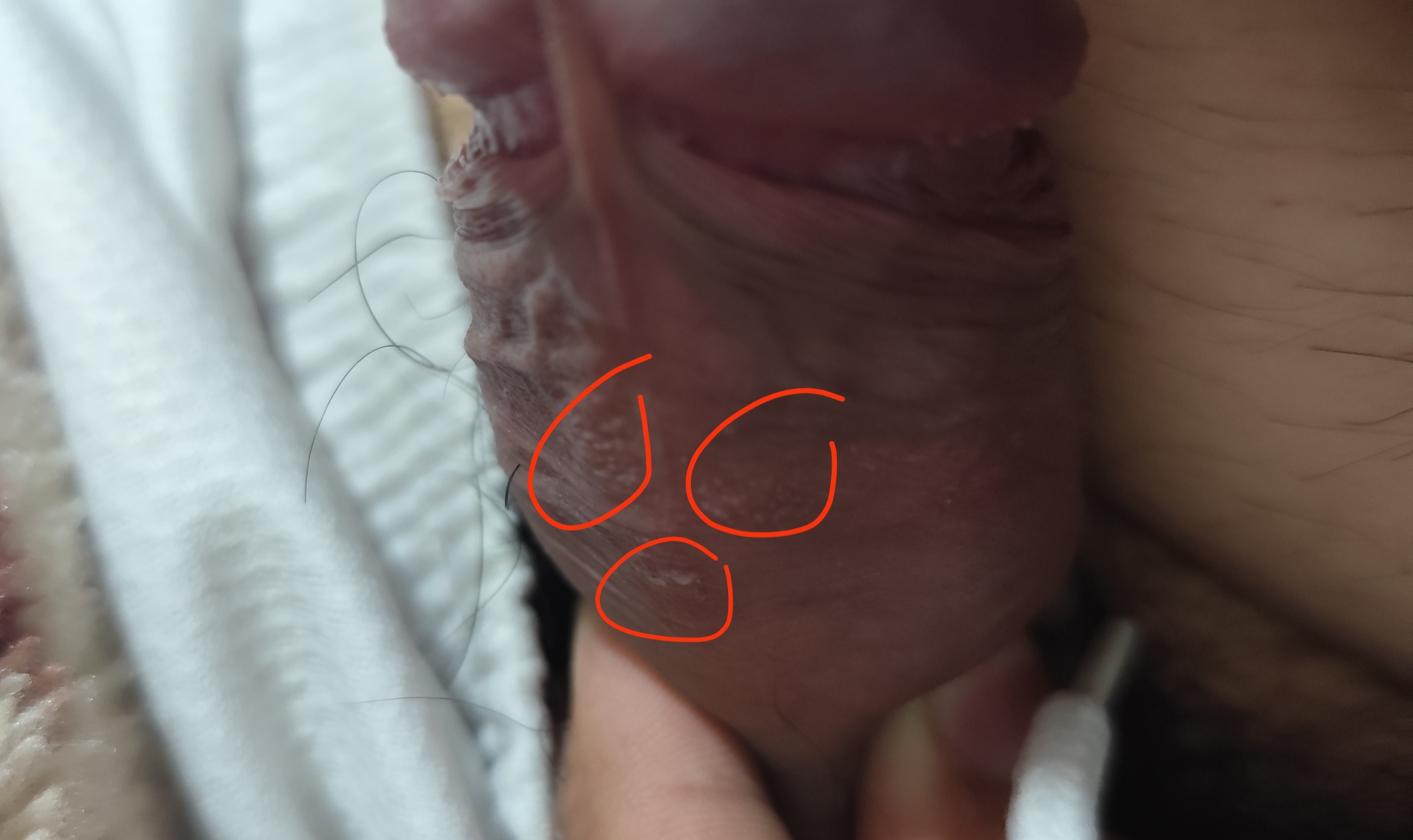 324373-927c020312c0.jpg