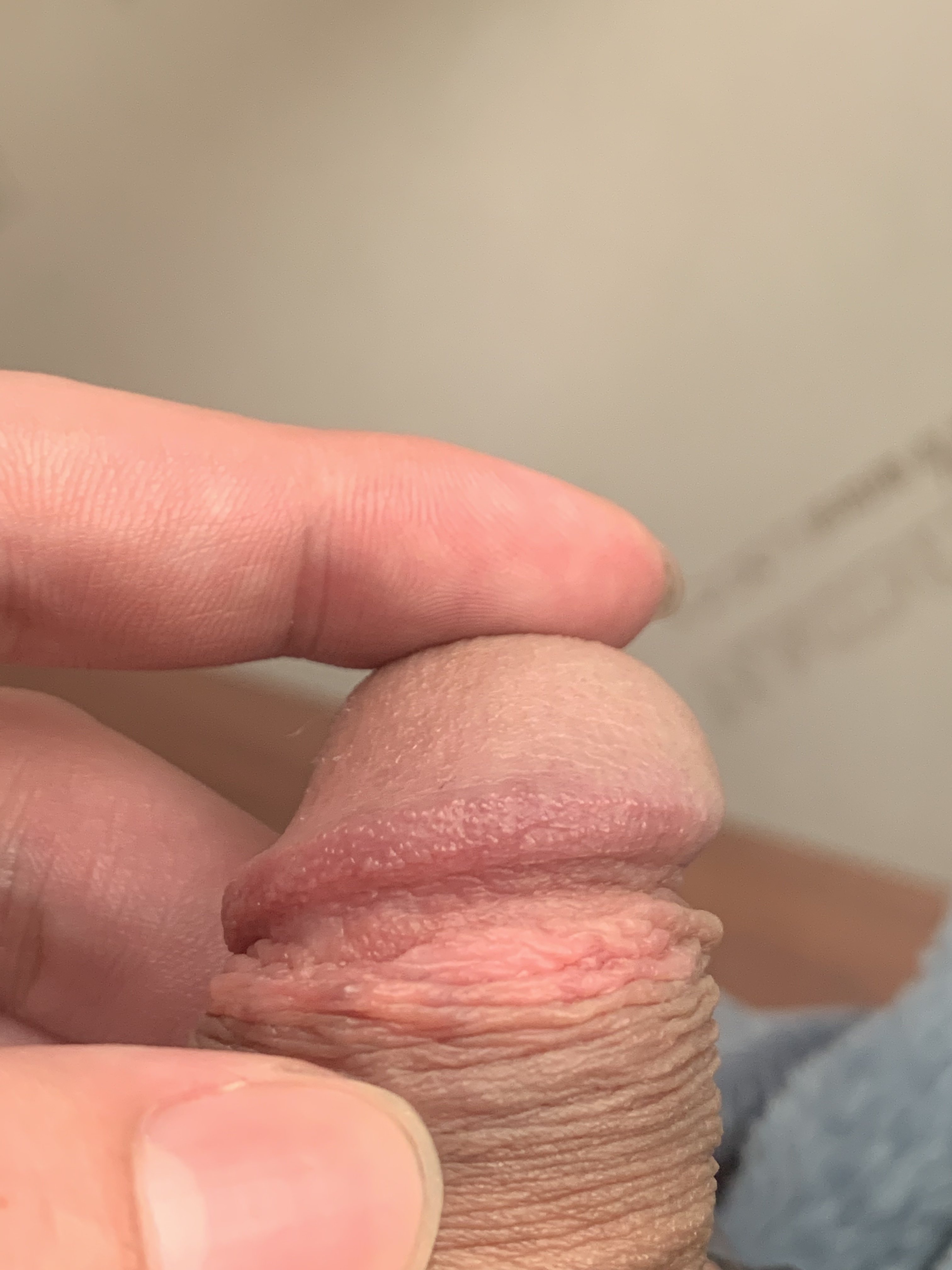 325199-899b66472018.jpeg