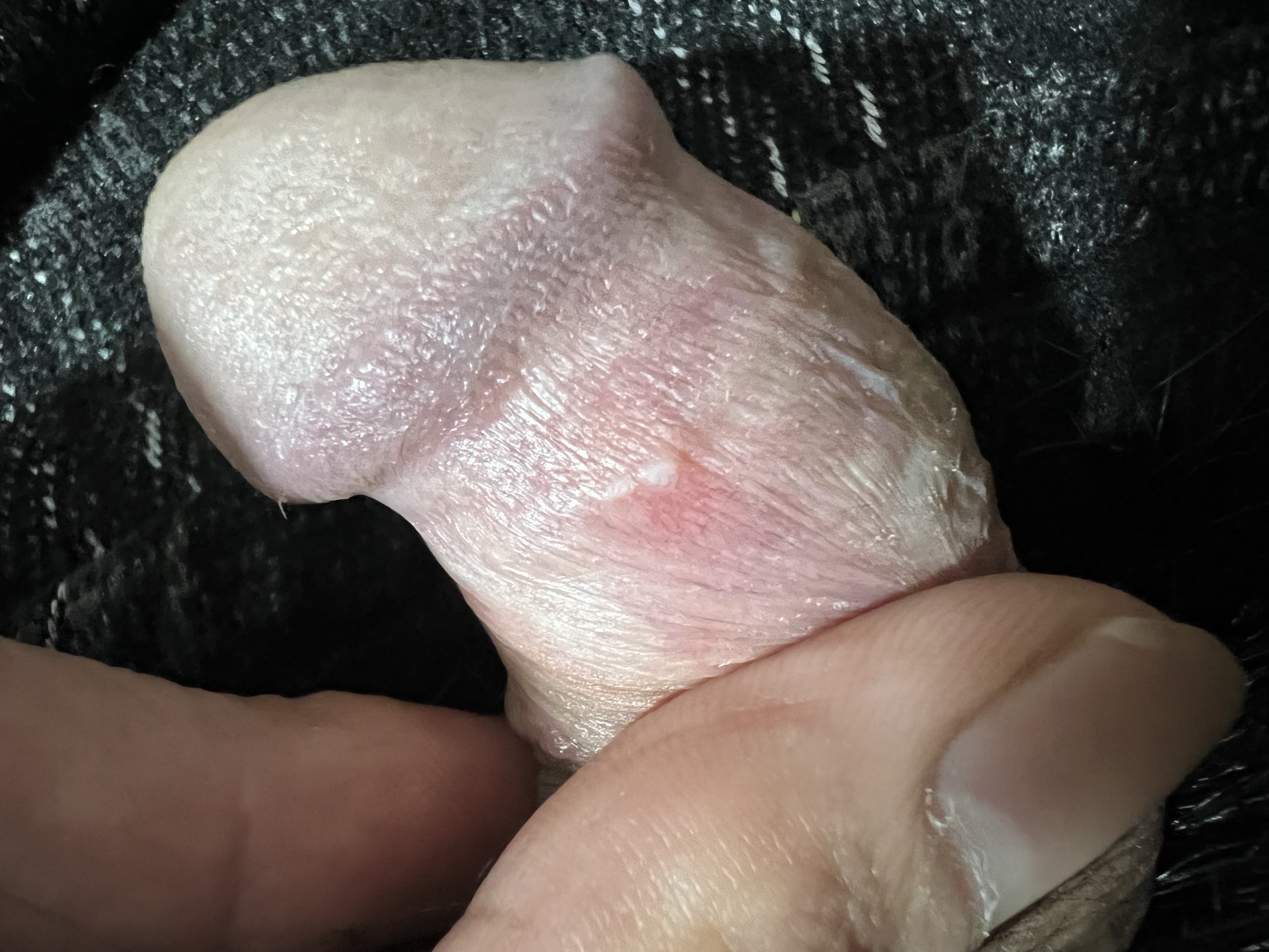 328737-145d0b463cad.jpeg