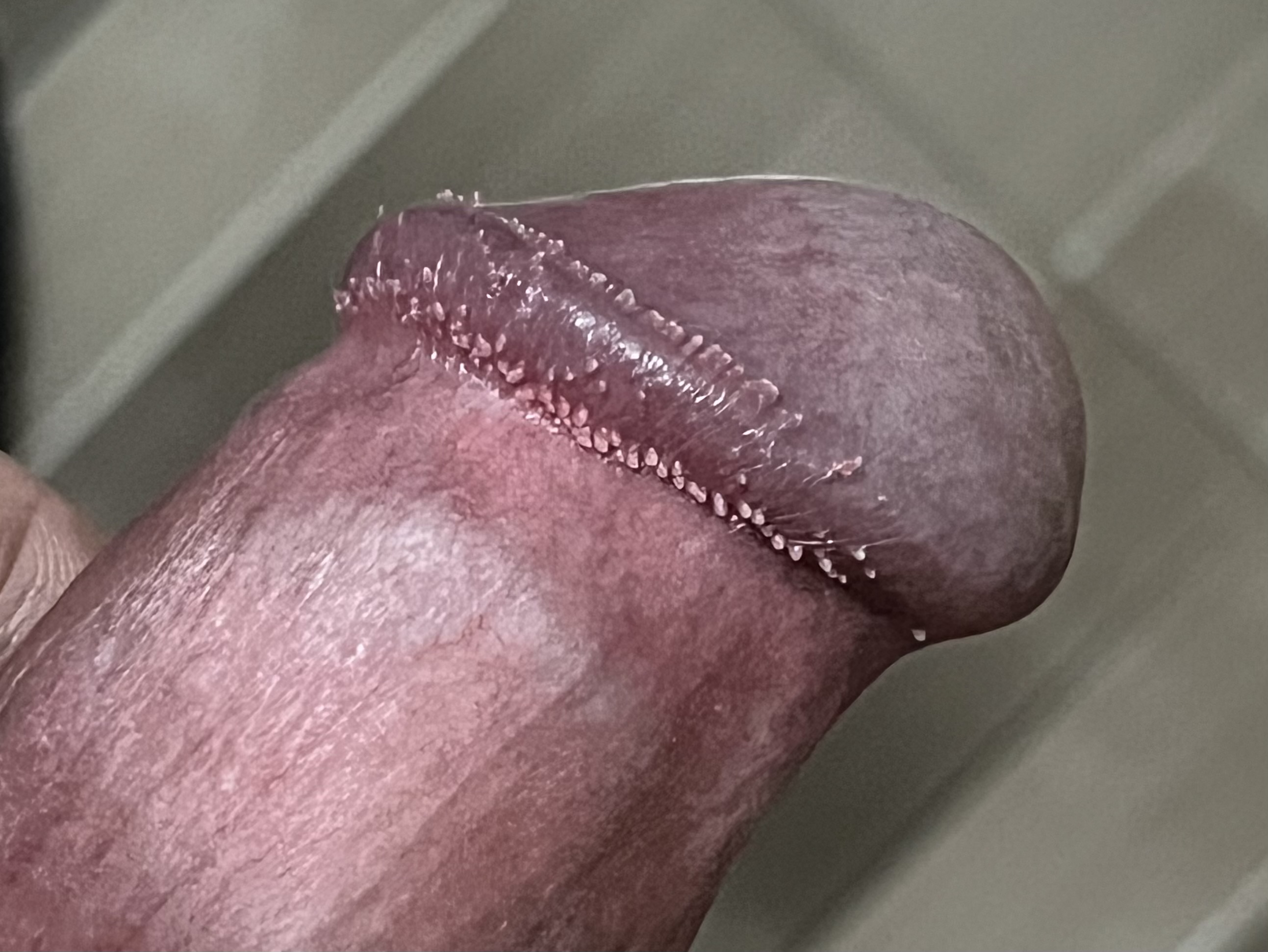 330767-4d773687b1e8.jpeg