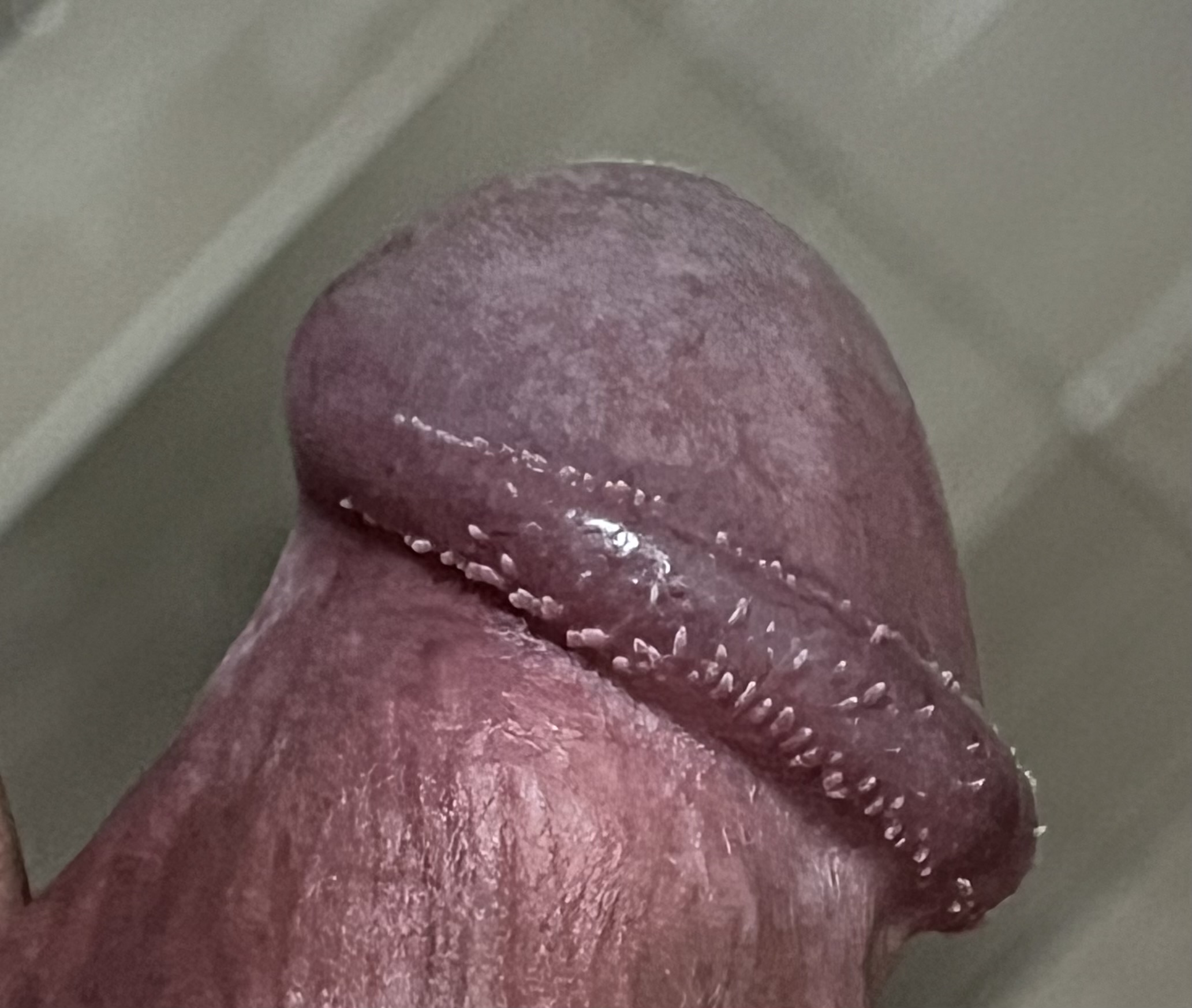 330768-aac8d9329d6f.jpeg