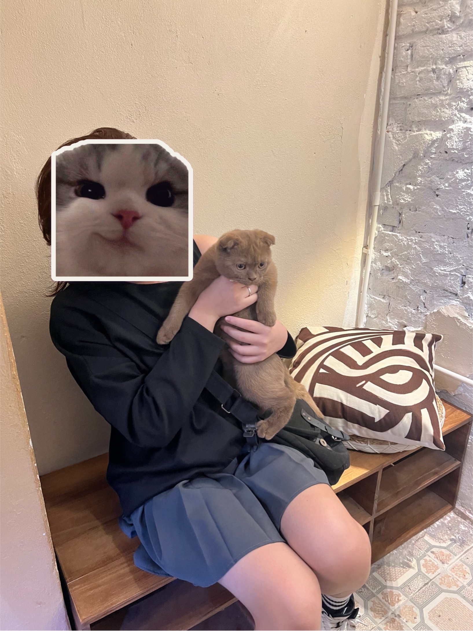 336881-796cfe0f73b7.jpeg