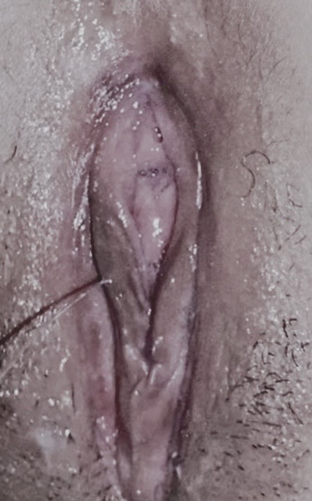 344878-e9ca99474c07.jpg