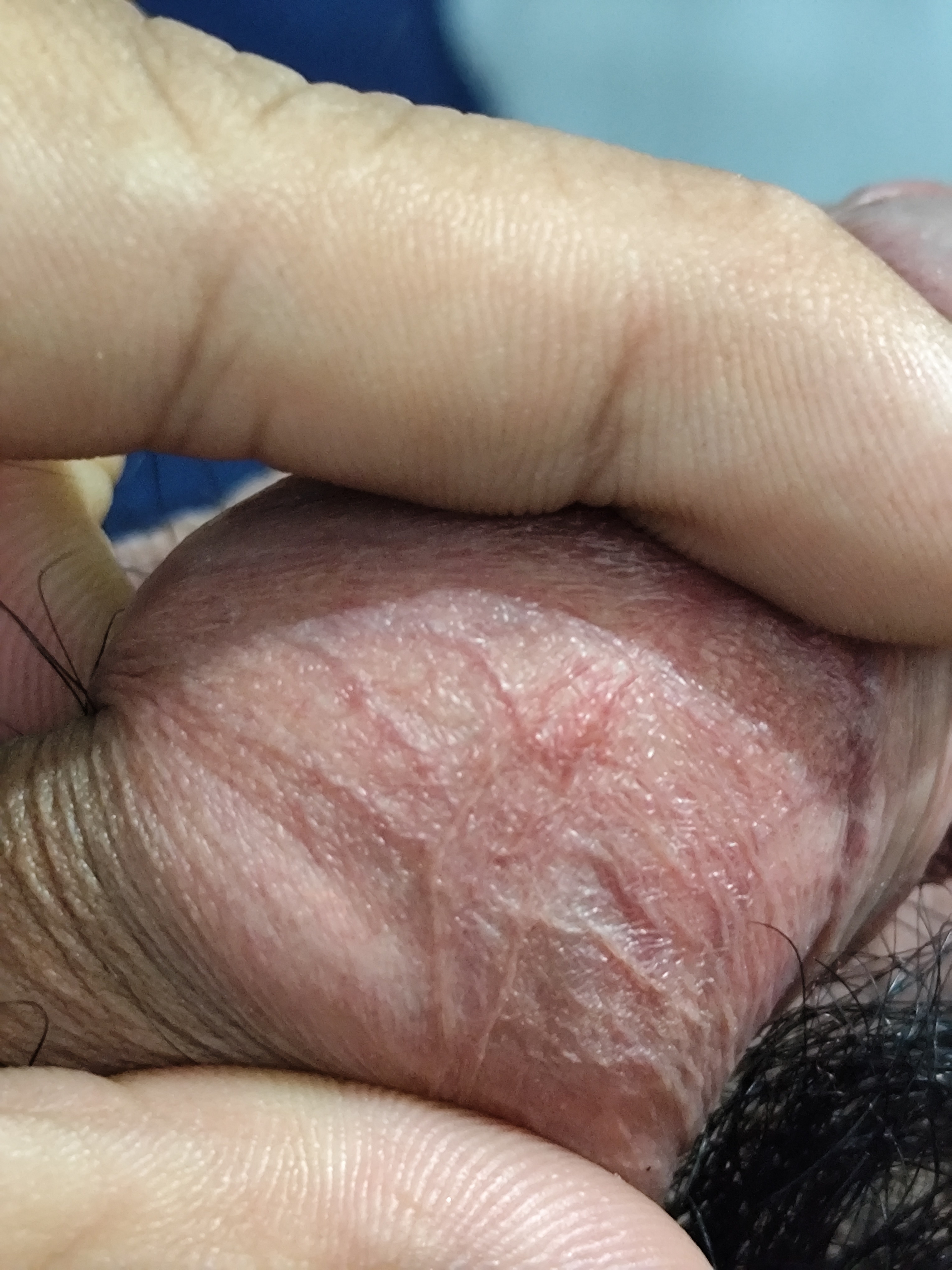 345349-2ba261661db9.jpg