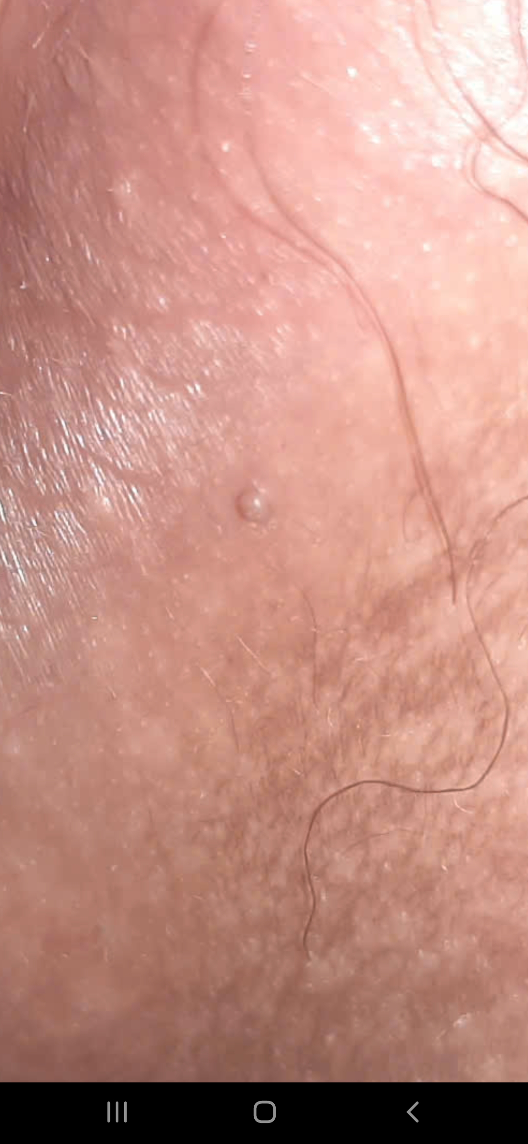 345866-6453498f6b89.jpg