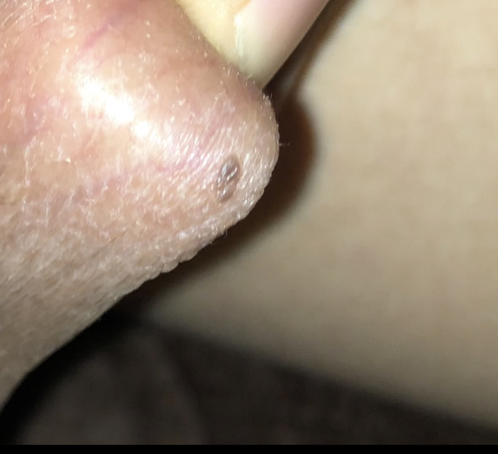348815-2bdfc078d08a.jpeg