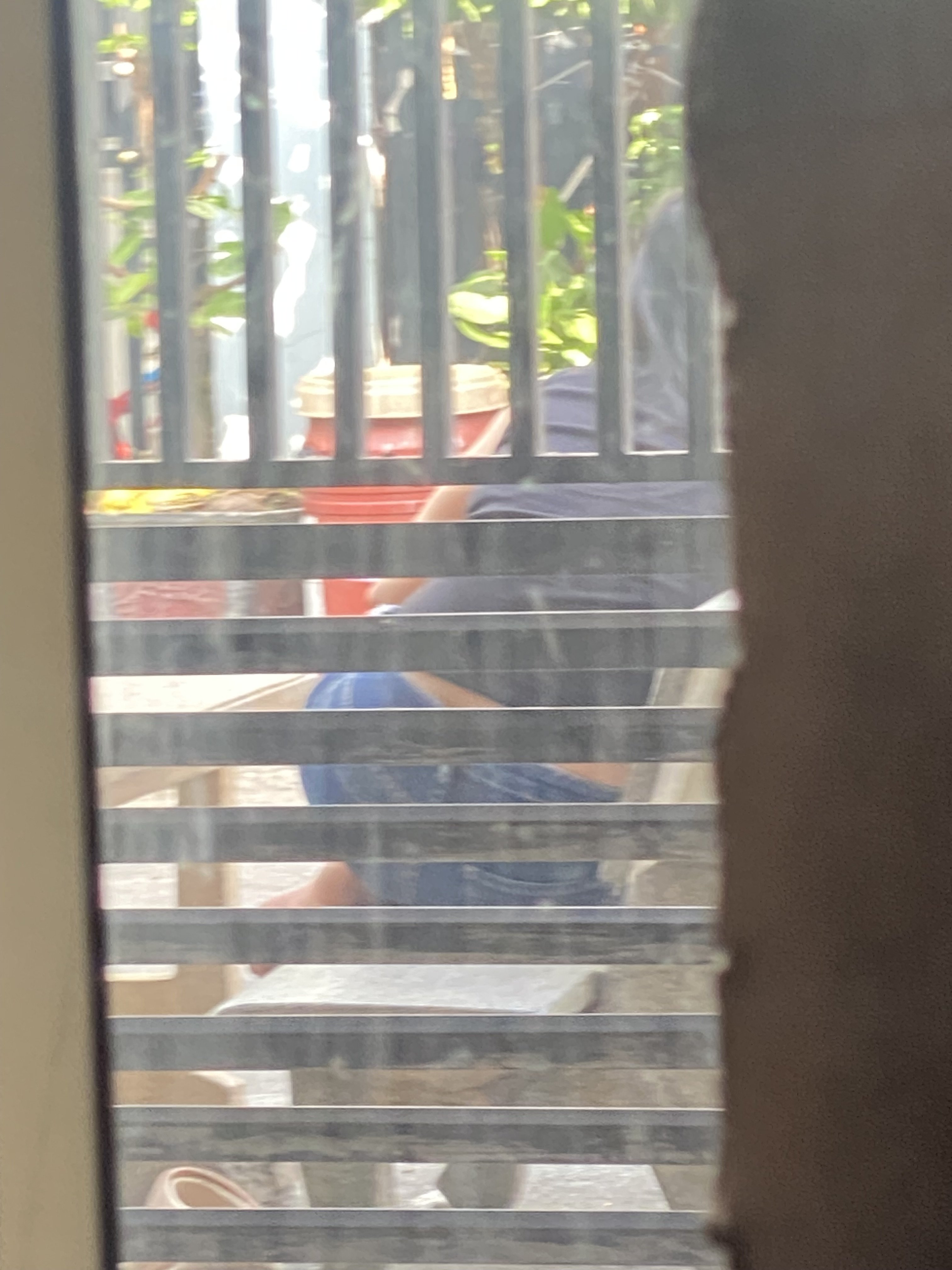 351787-d72b46784187.jpeg