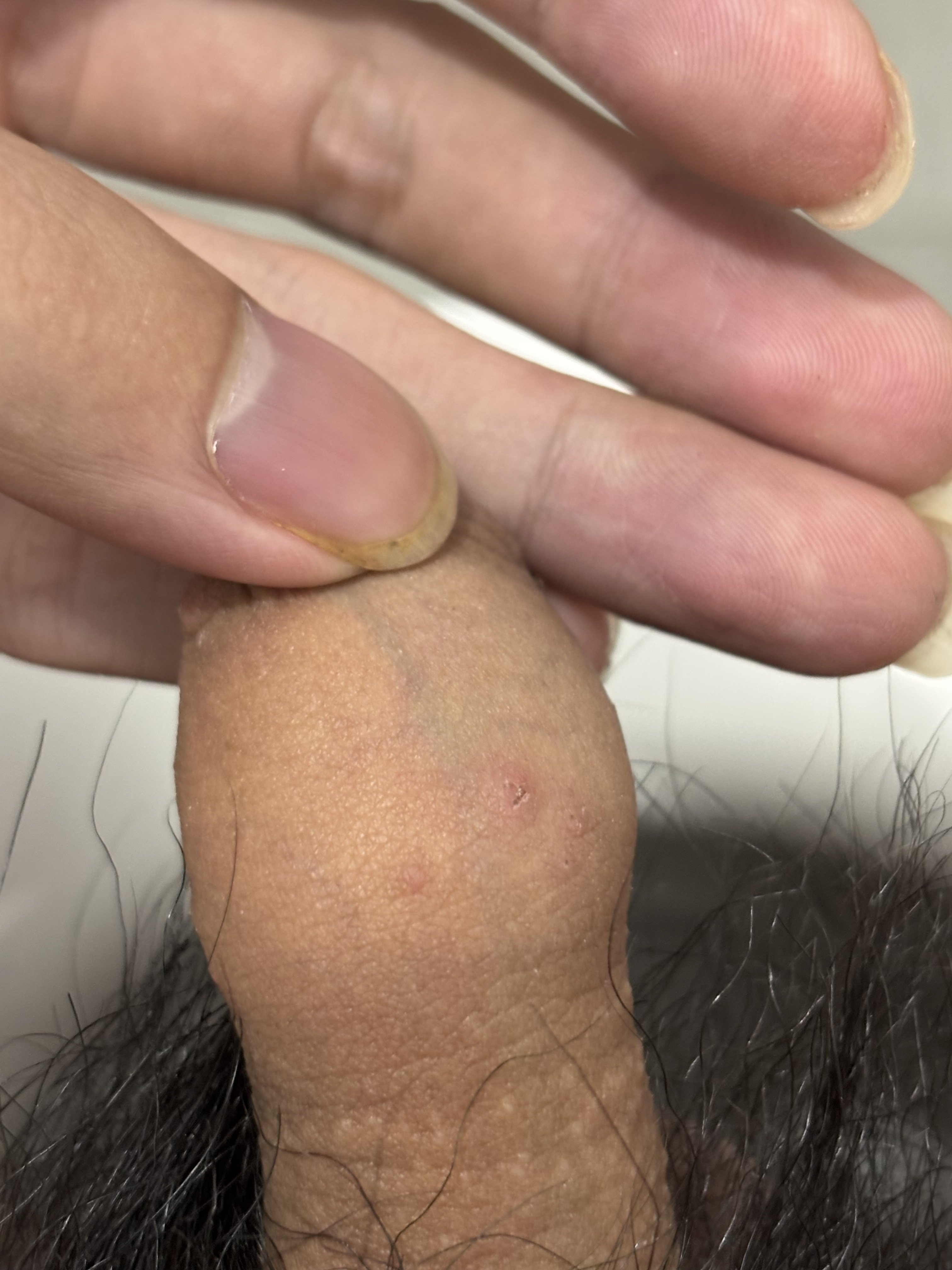354997-f2662ff5270e.jpeg