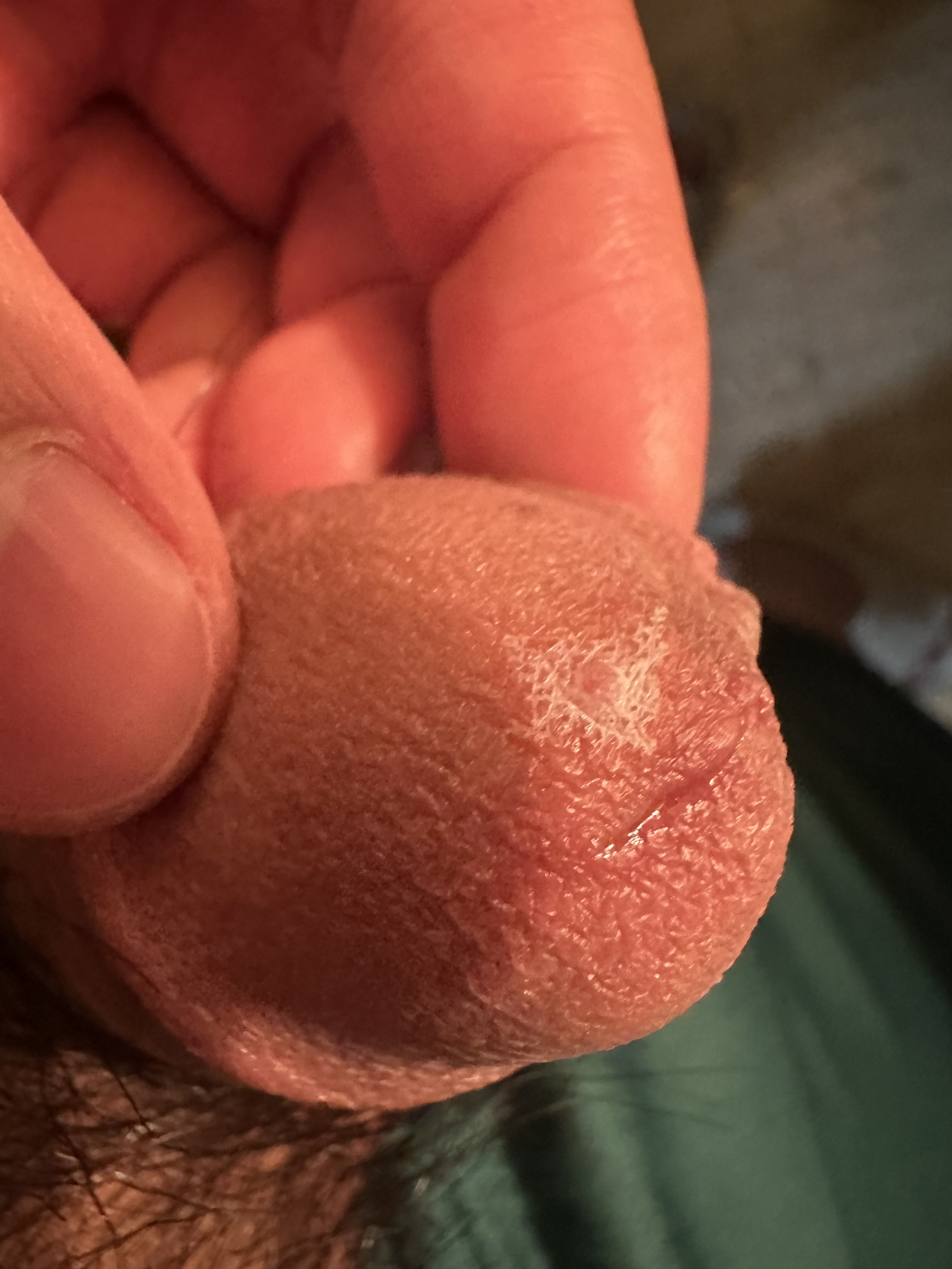 355382-1a06c0908e29.jpeg