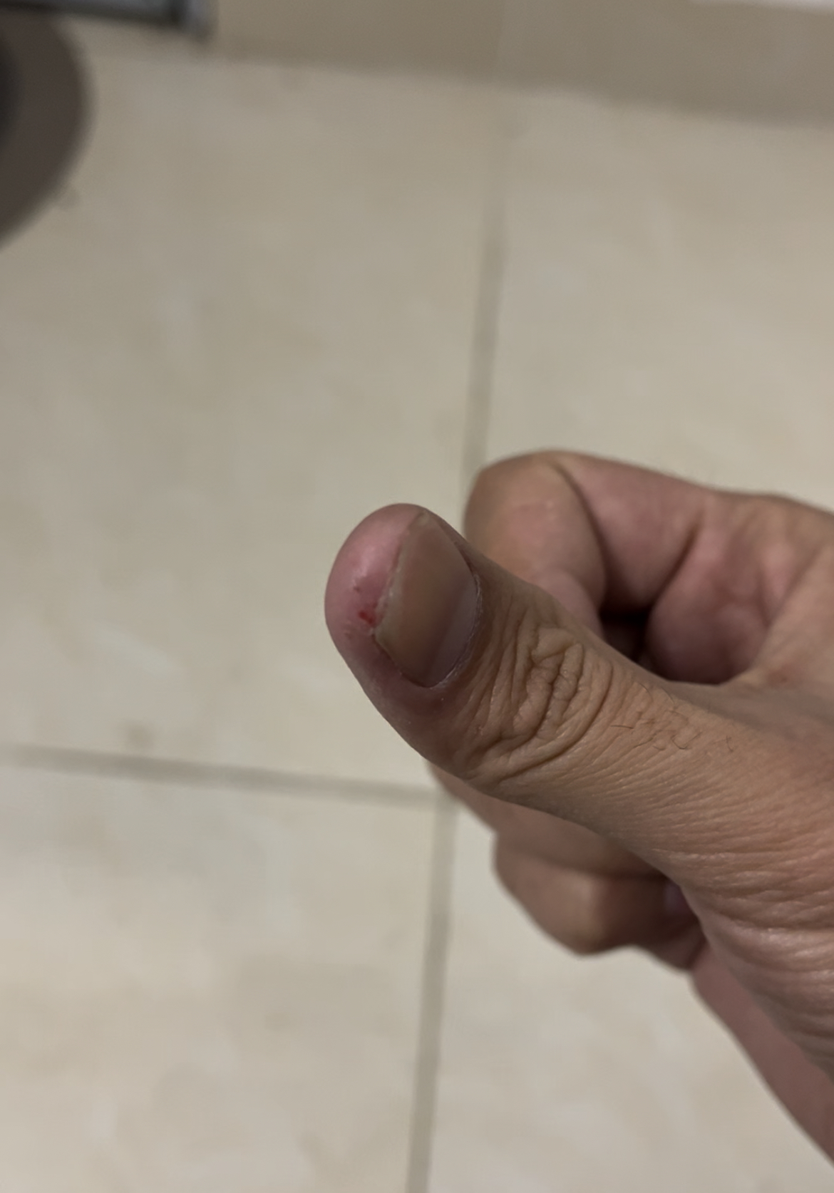 356098-075f89e62716.jpeg