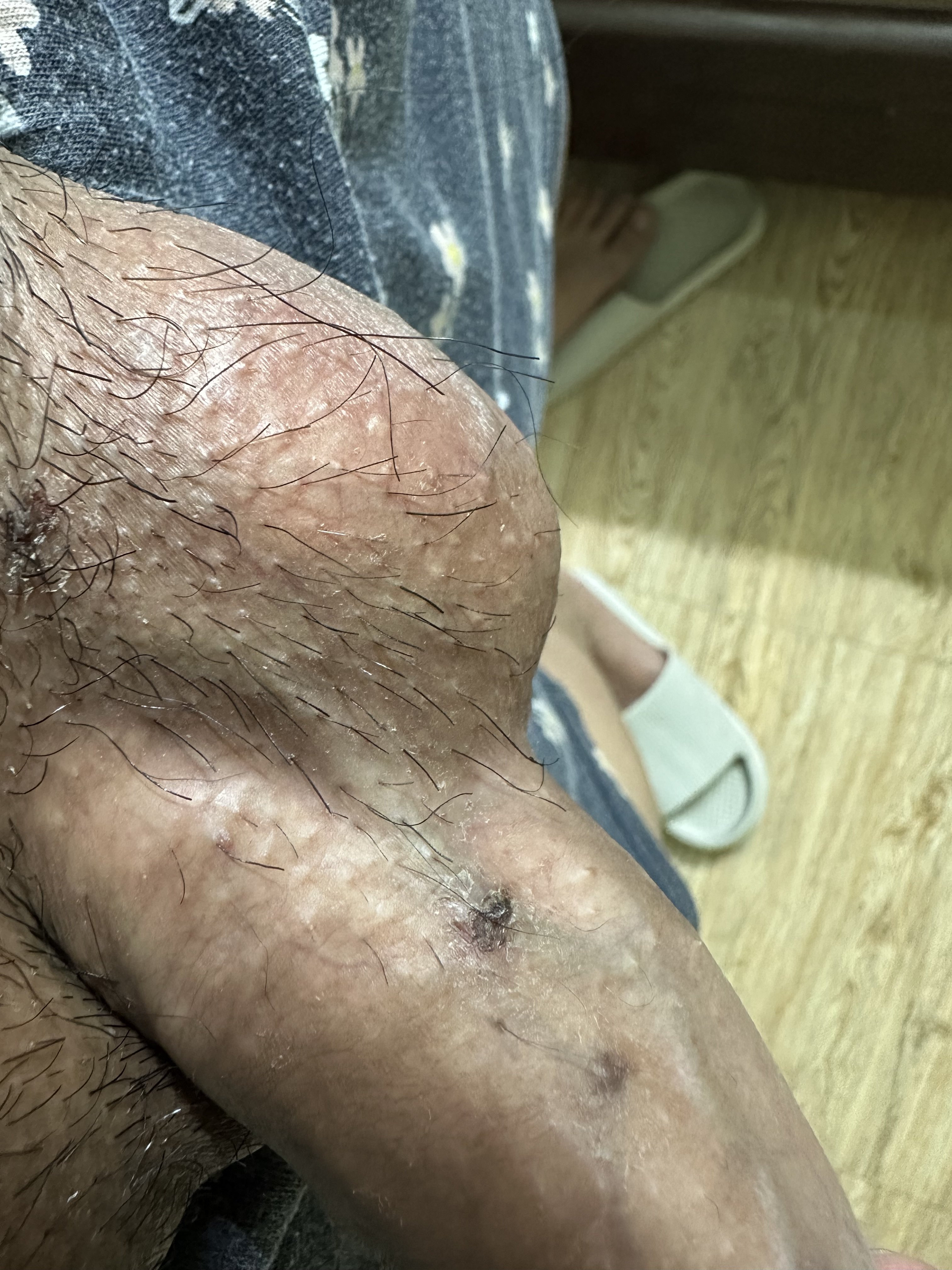 360341-4b3565b608cb.jpeg