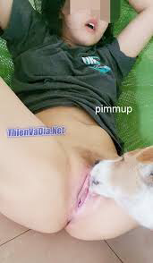 360841-fe0a5c57aff8.png