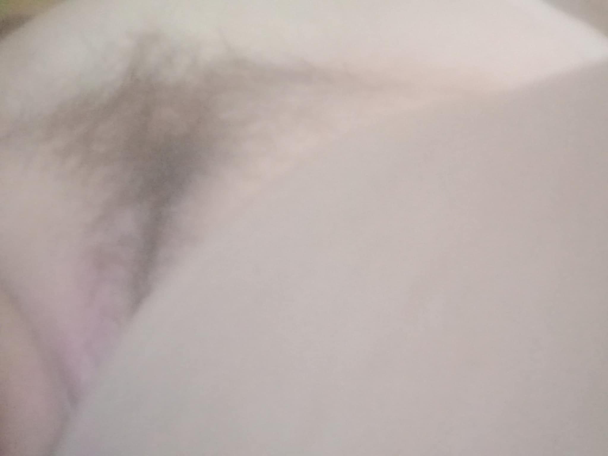 365823-f0169c3104d3.jpeg