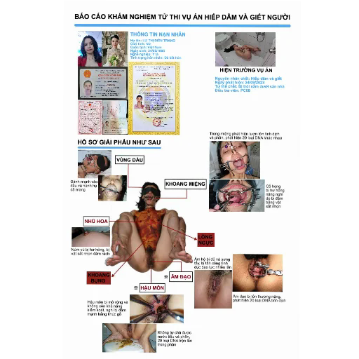 365980-769ee4a69bdd.png