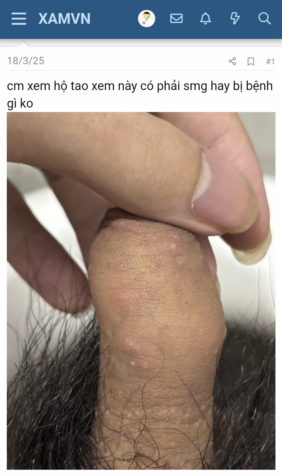 370908-af5a9ff066fa.jpg
