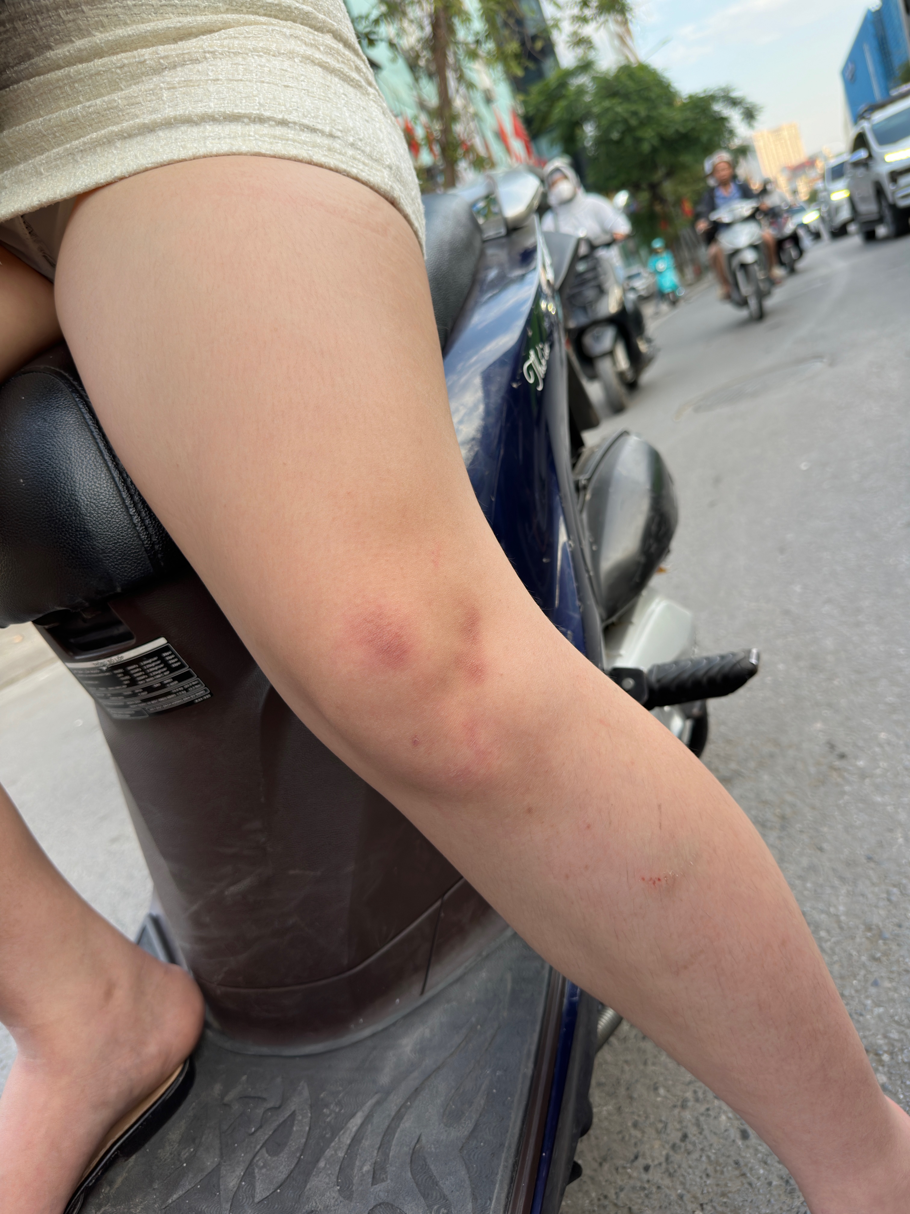 375432-cc632d4f1c1b.jpeg