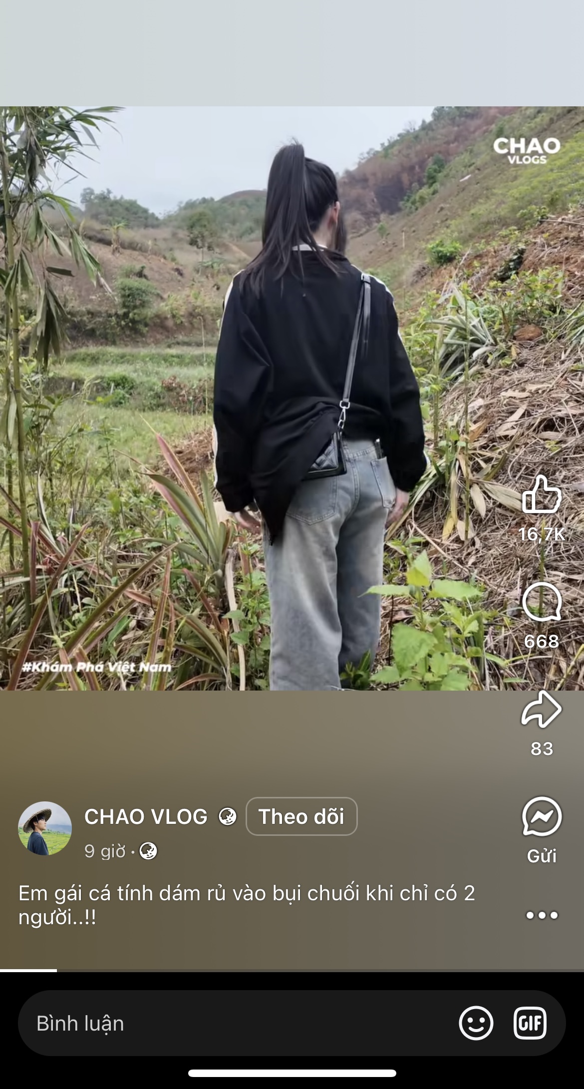 375921-31b3b12d464b.jpeg