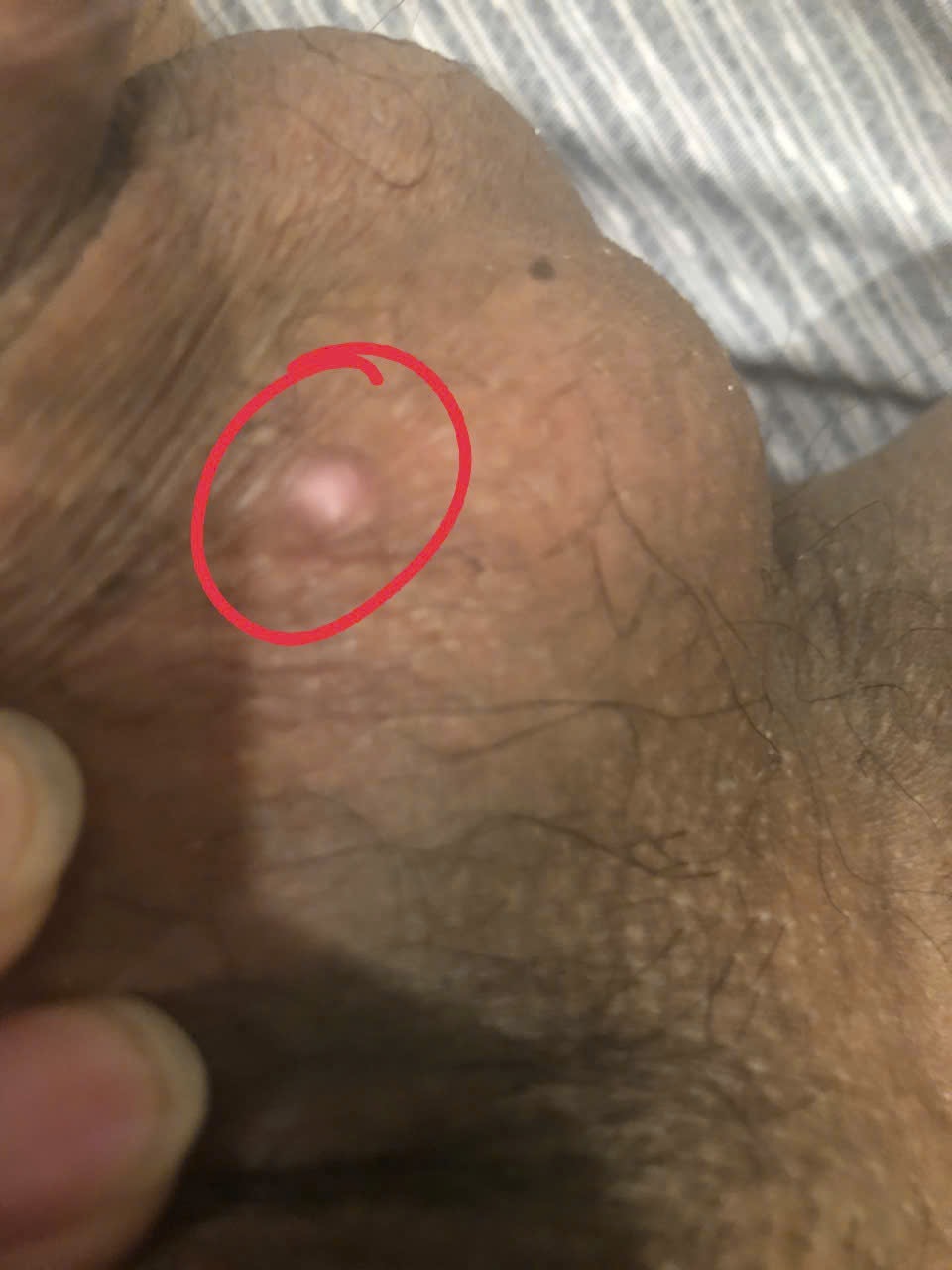 379319-ecec4717eb0d.jpeg