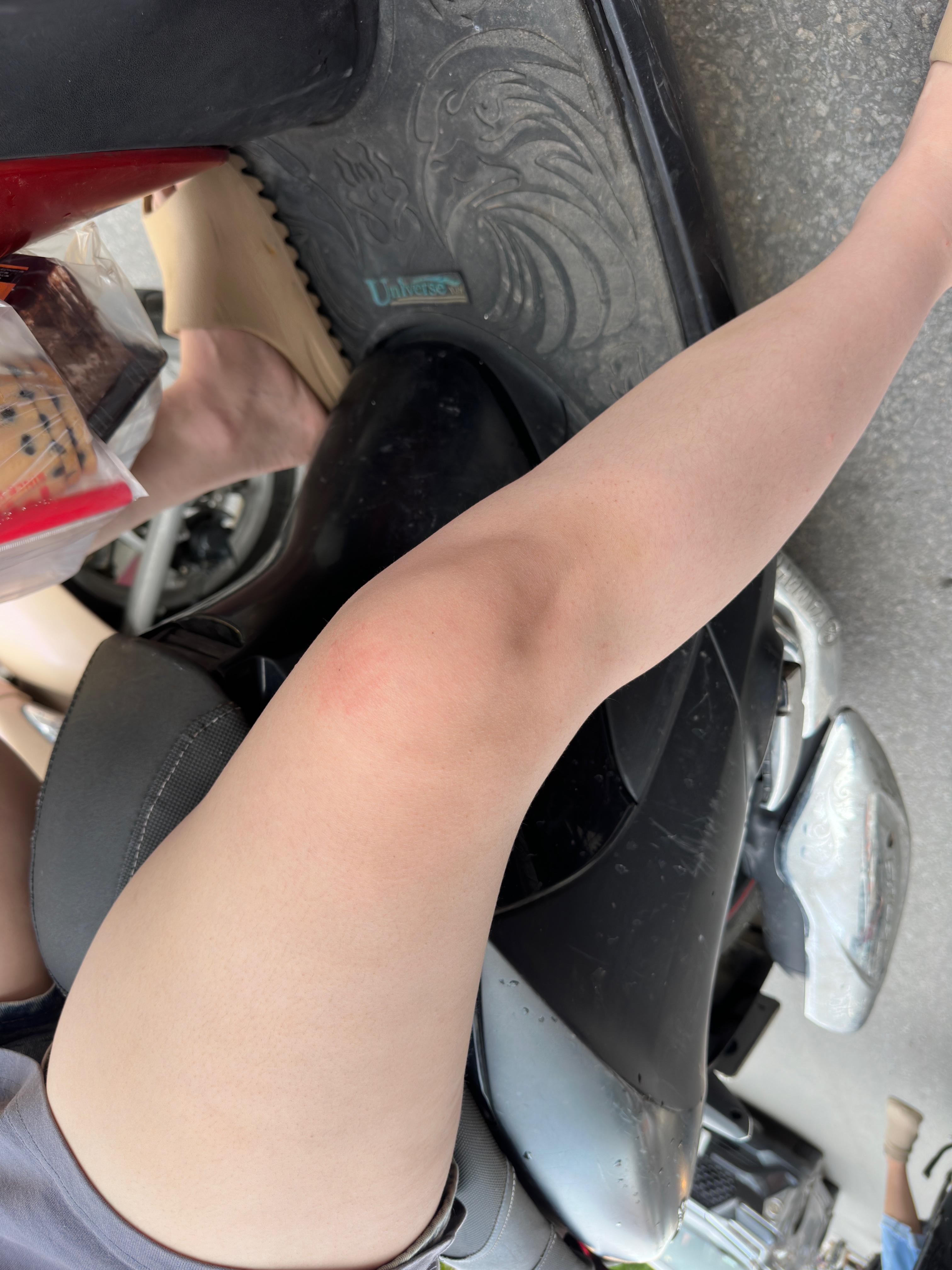 385829-db3113295201.jpeg