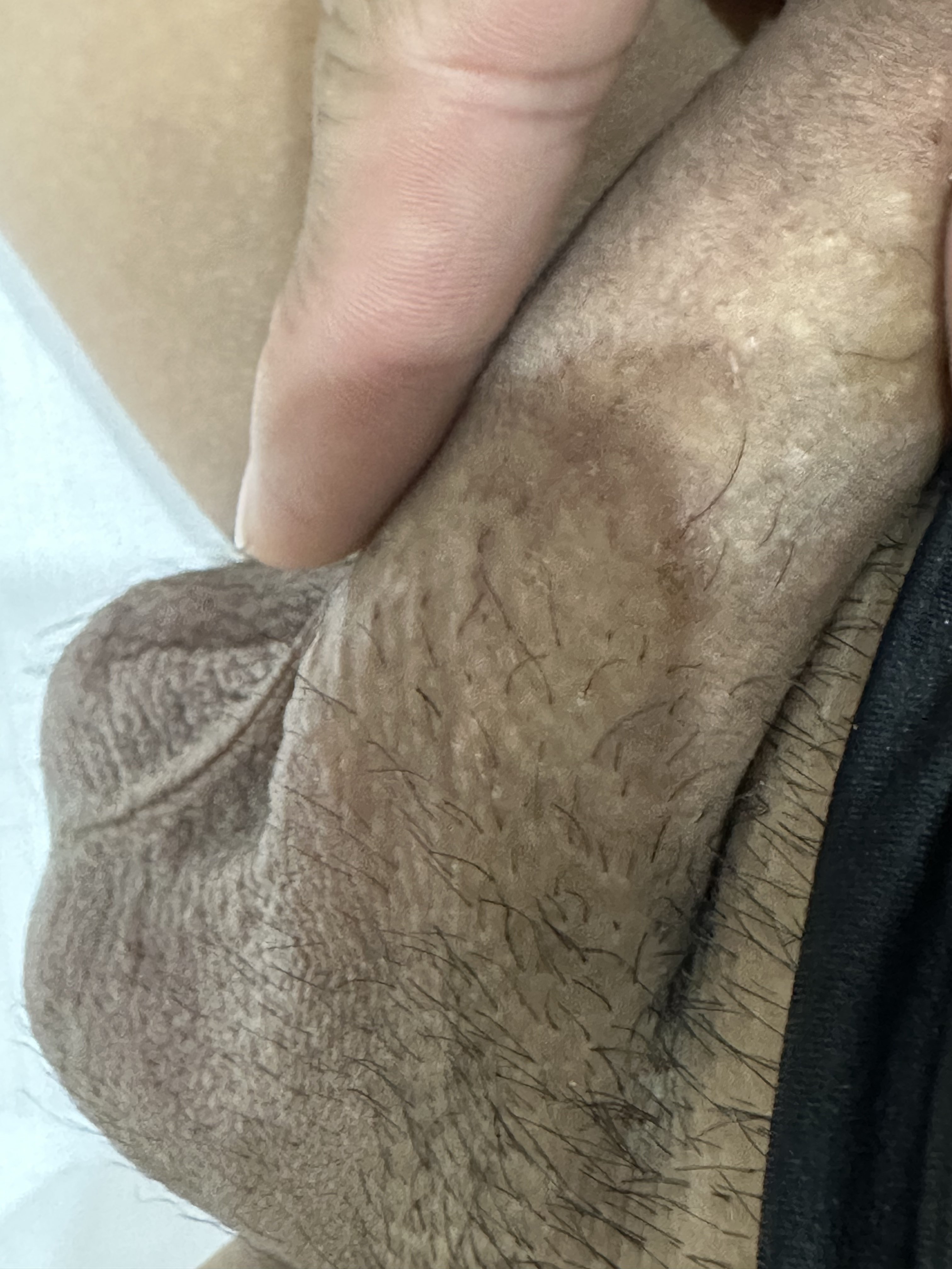 385985-5b56d7e98b01.jpeg
