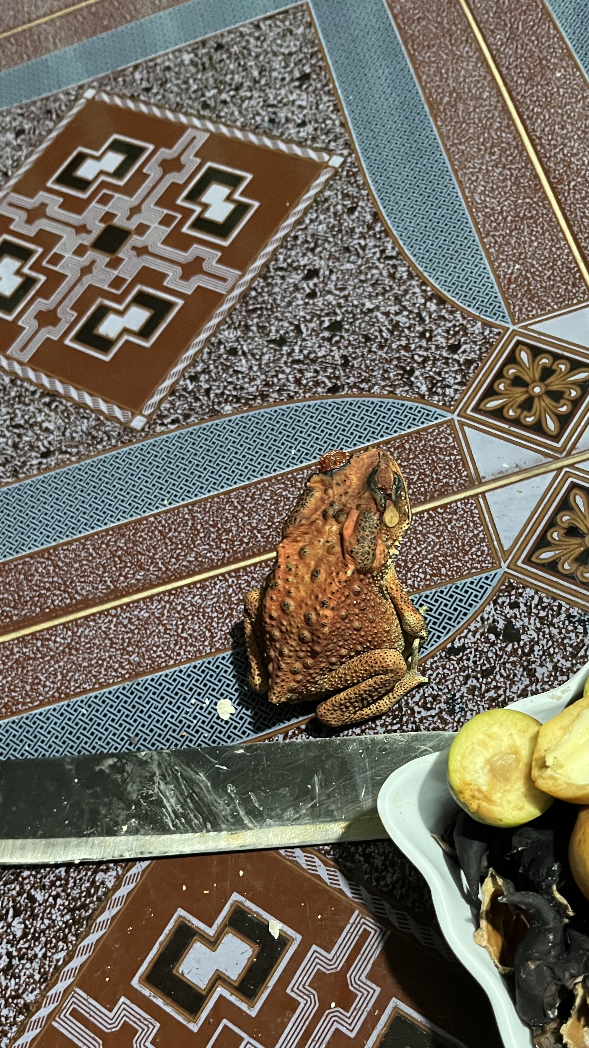 389401-ae0ad1299664.jpeg