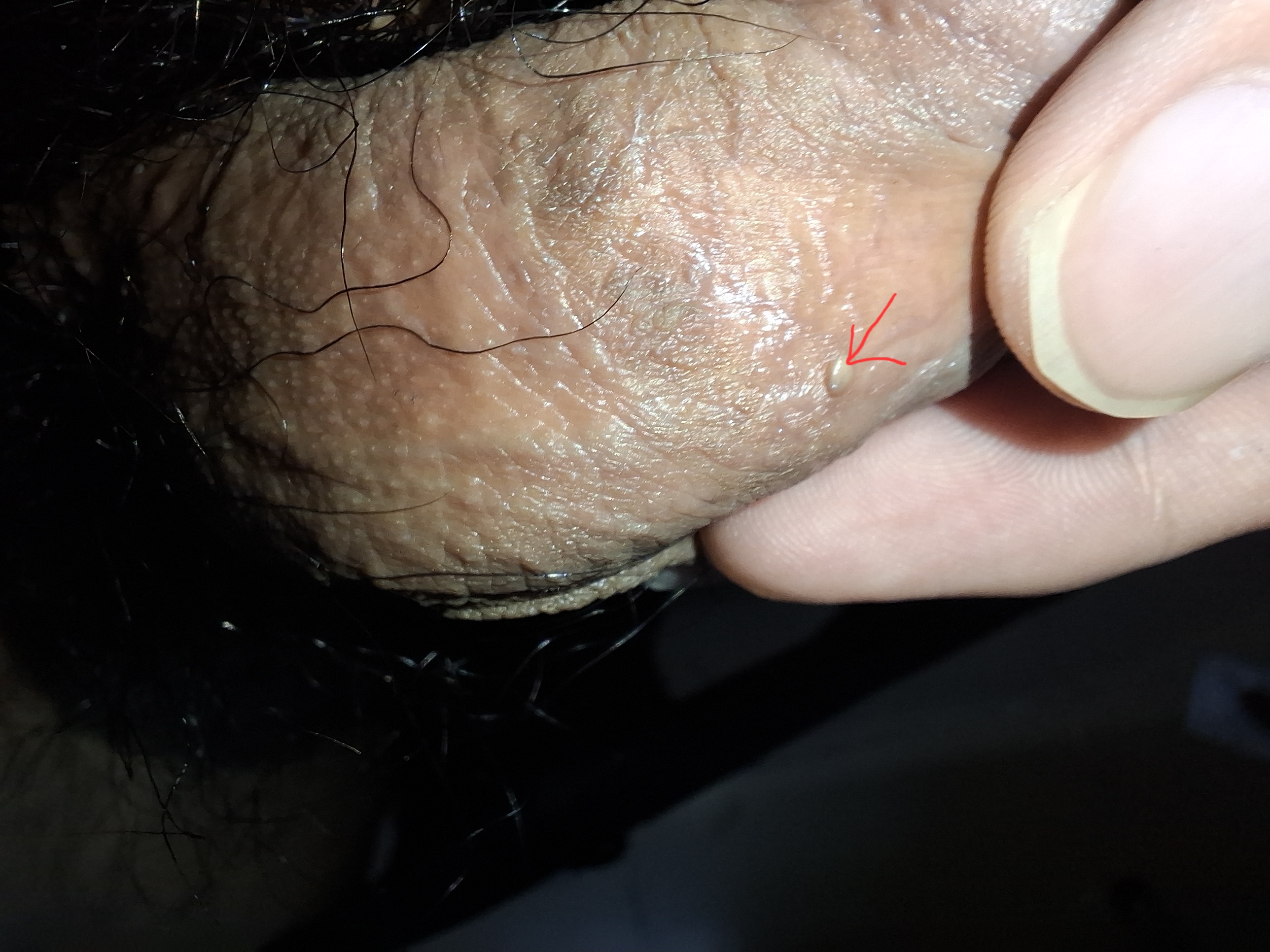 391746-c556ff67c544.jpg