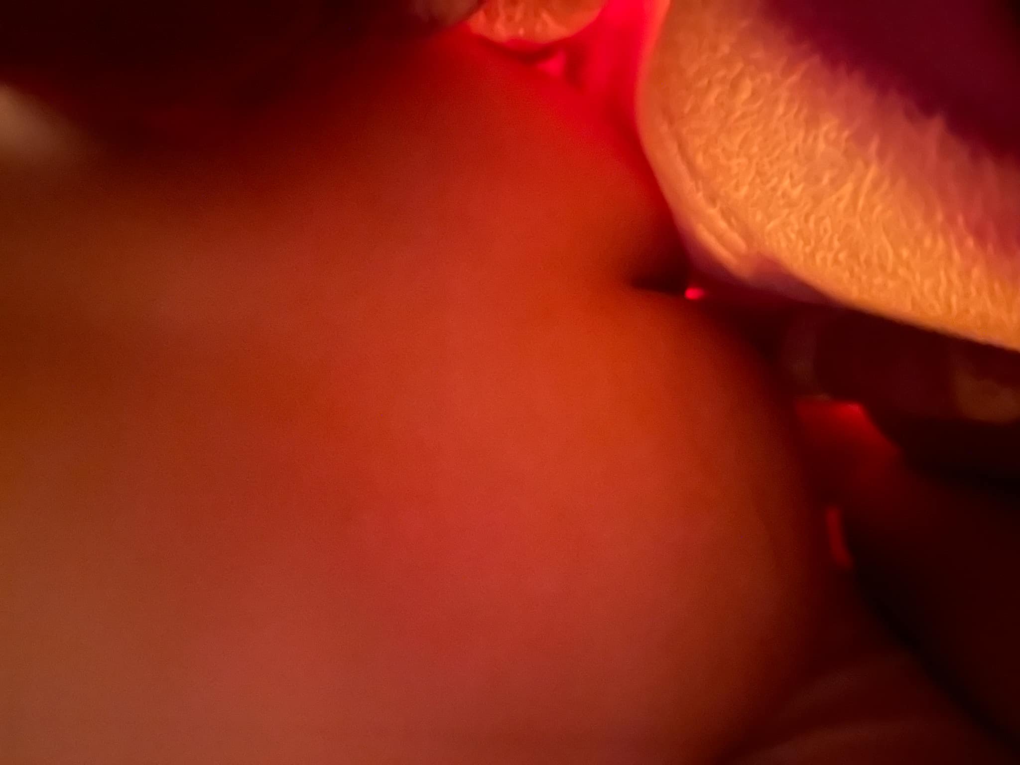 393920-524d4dcb8597.jpeg
